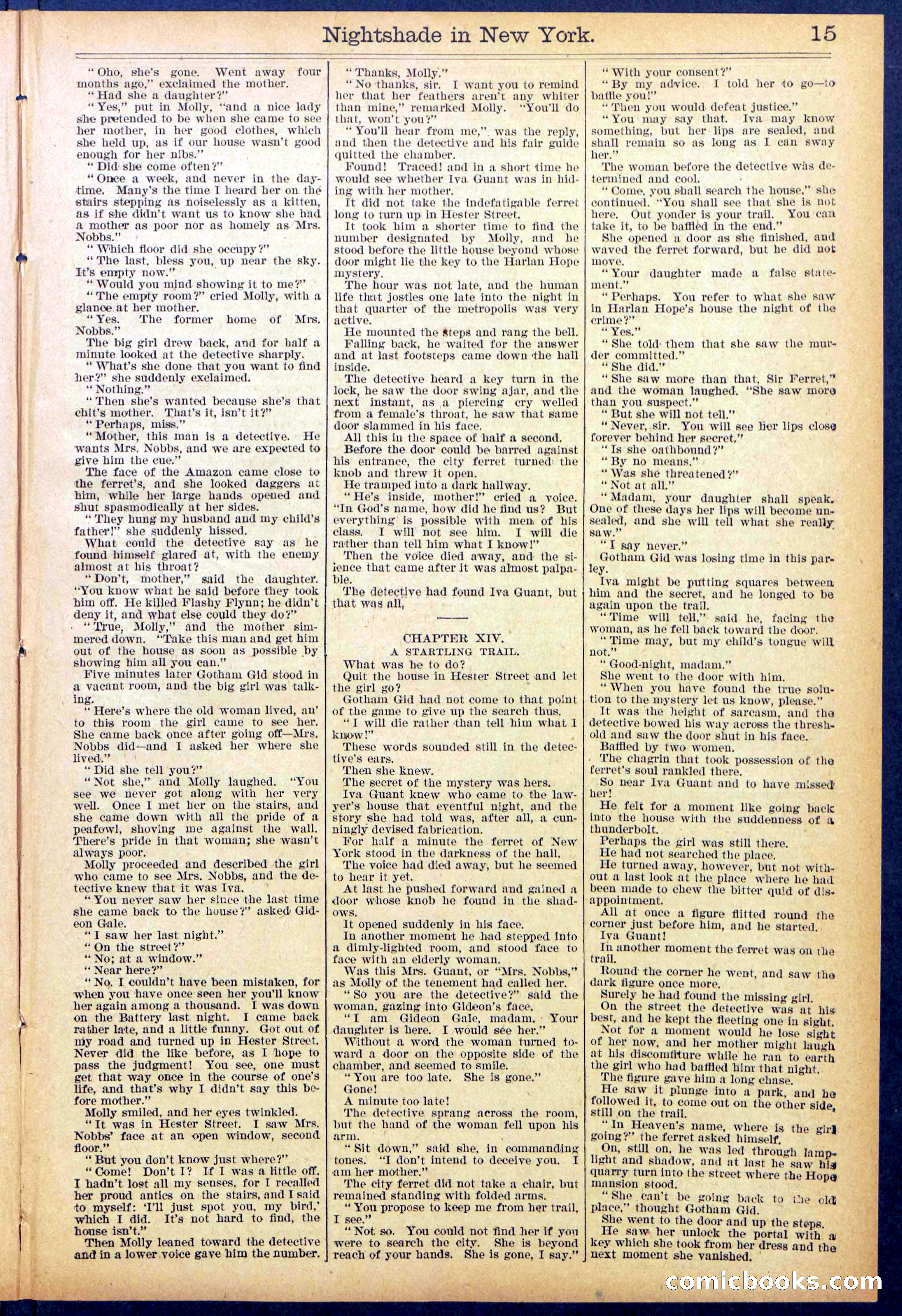 Beadle's New York Dime Library No. 888 — page 15 of 32