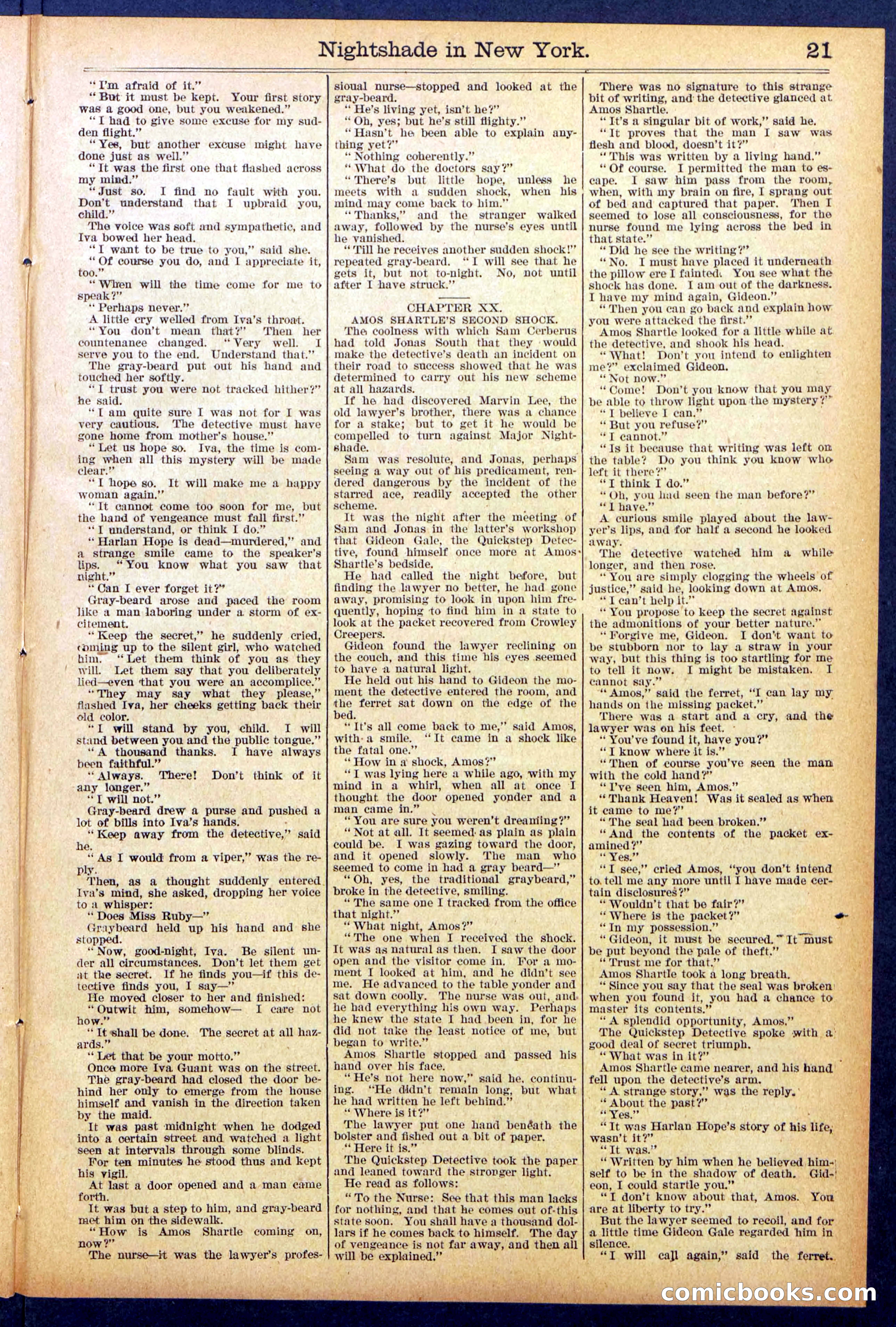 Beadle's New York Dime Library No. 888 — page 21 of 32
