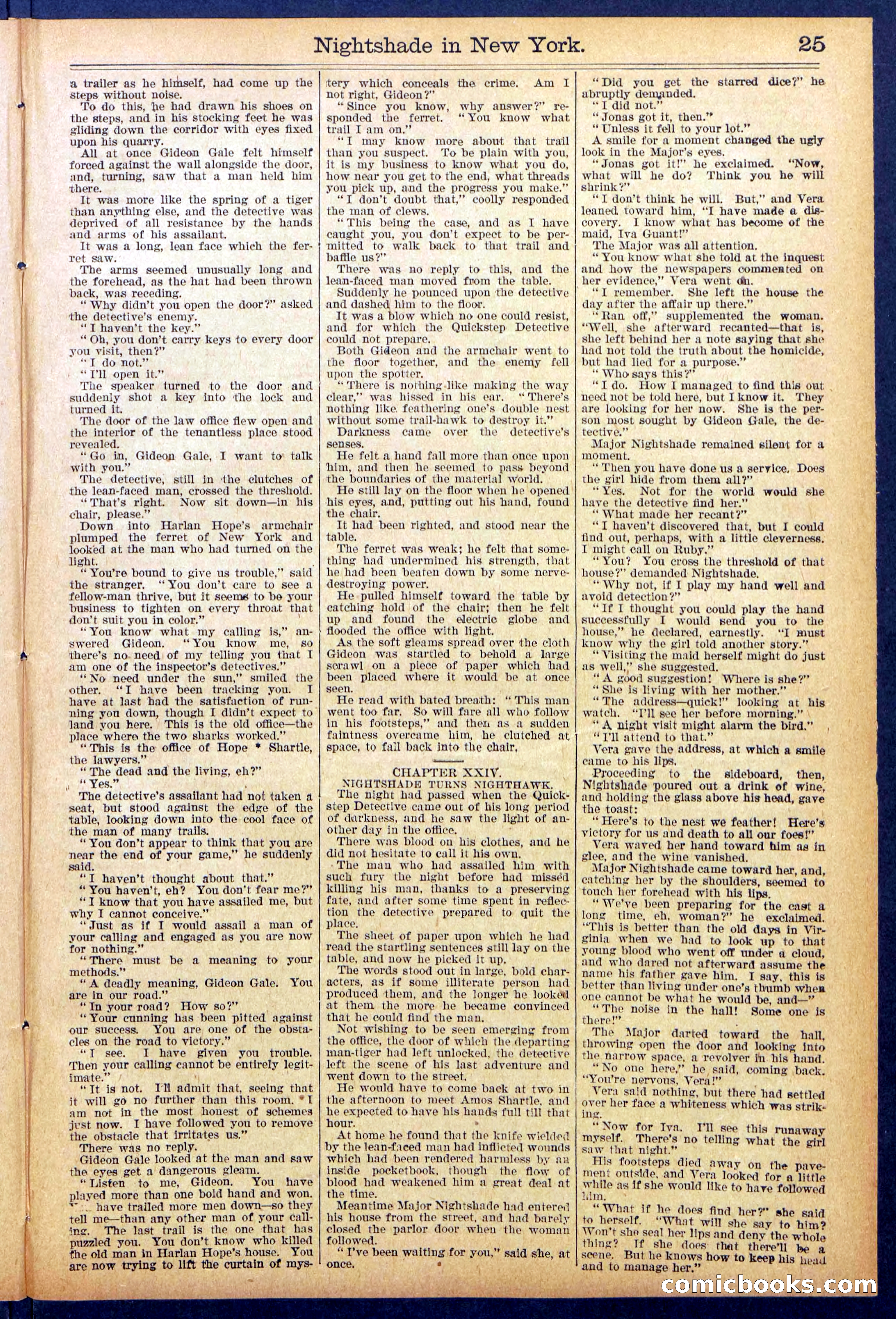 Beadle's New York Dime Library No. 888 — page 25 of 32