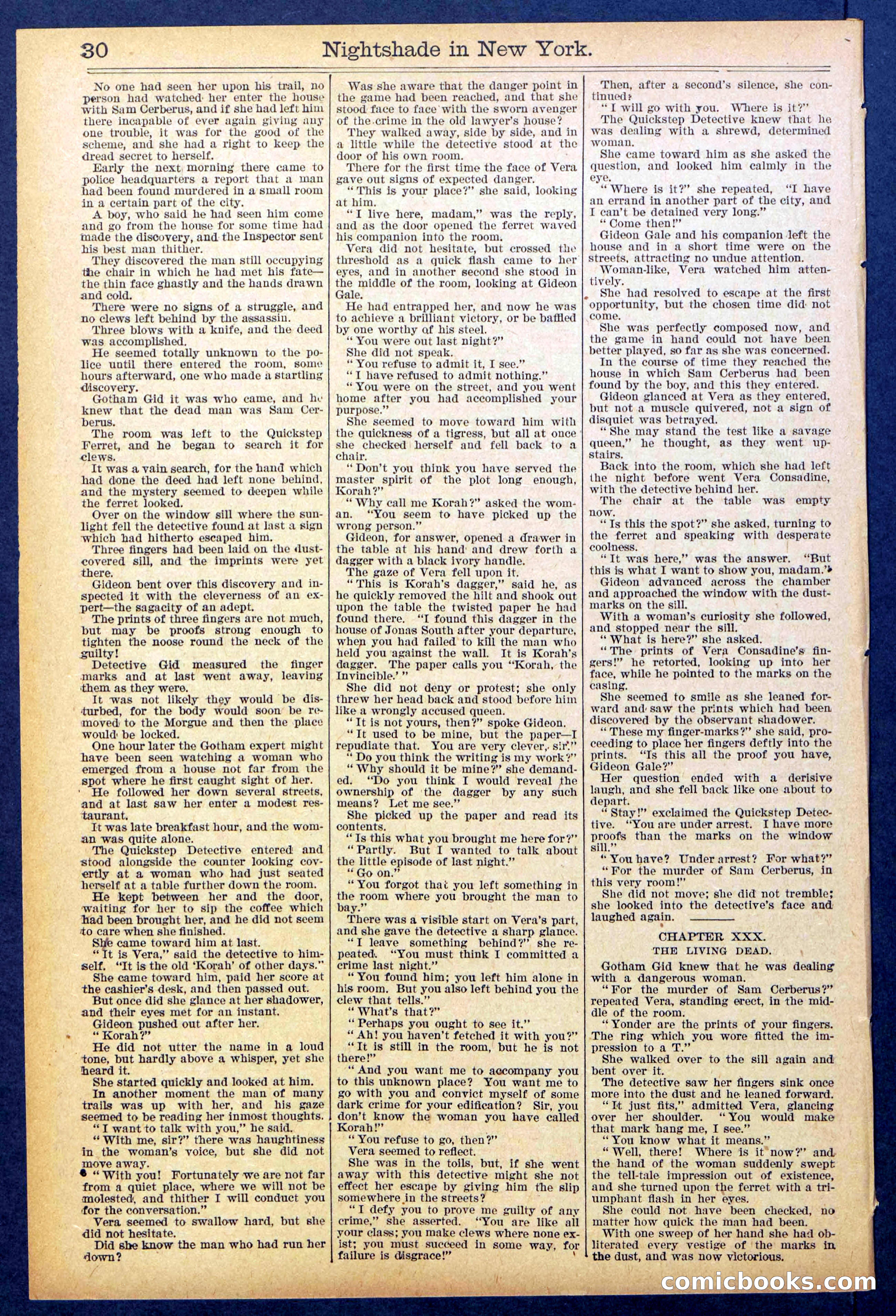 Beadle's New York Dime Library No. 888 — page 30 of 32