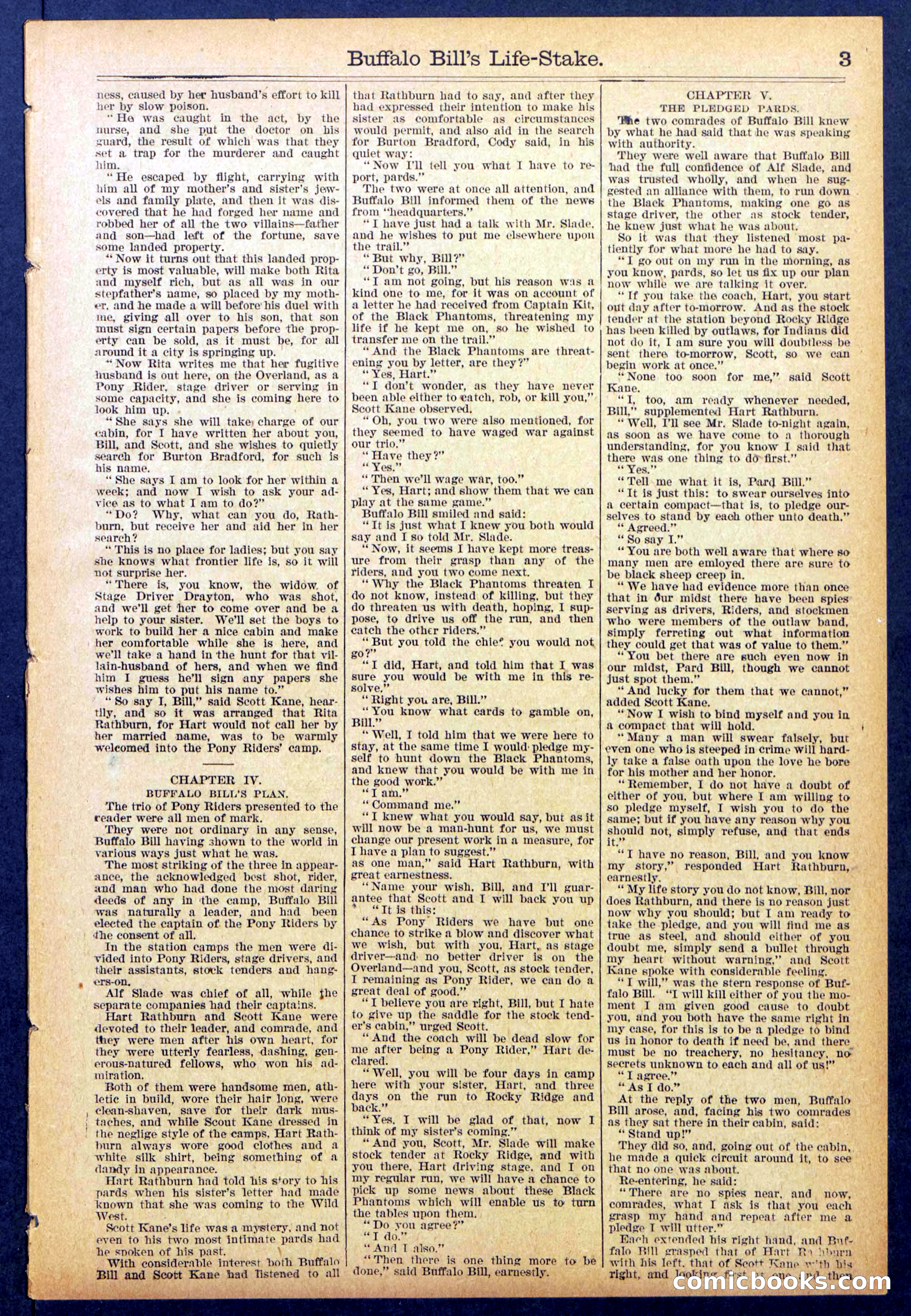 Beadle's New York Dime Library No. 890 — page 3 of 32
