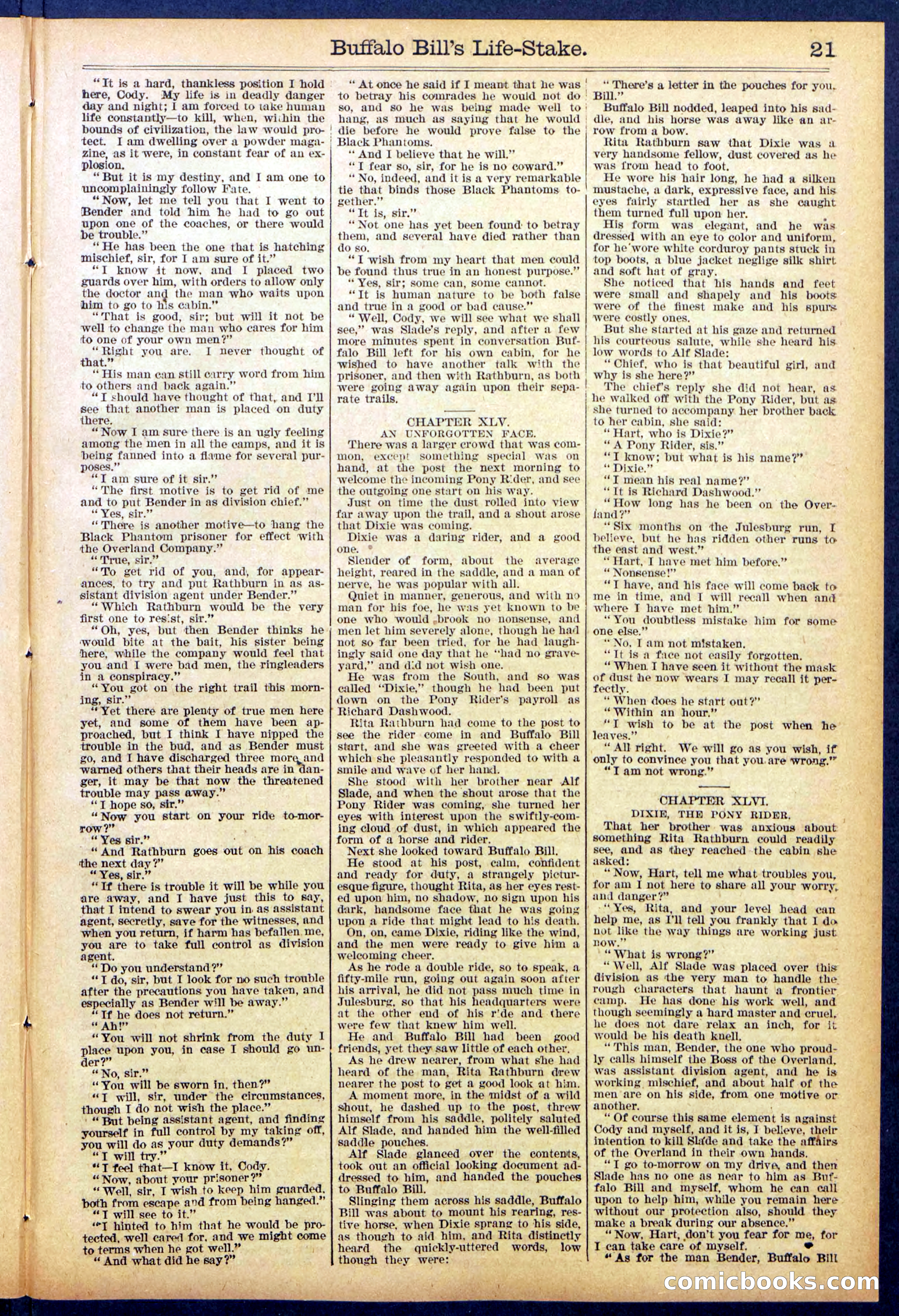 Beadle's New York Dime Library No. 890 — page 21 of 32
