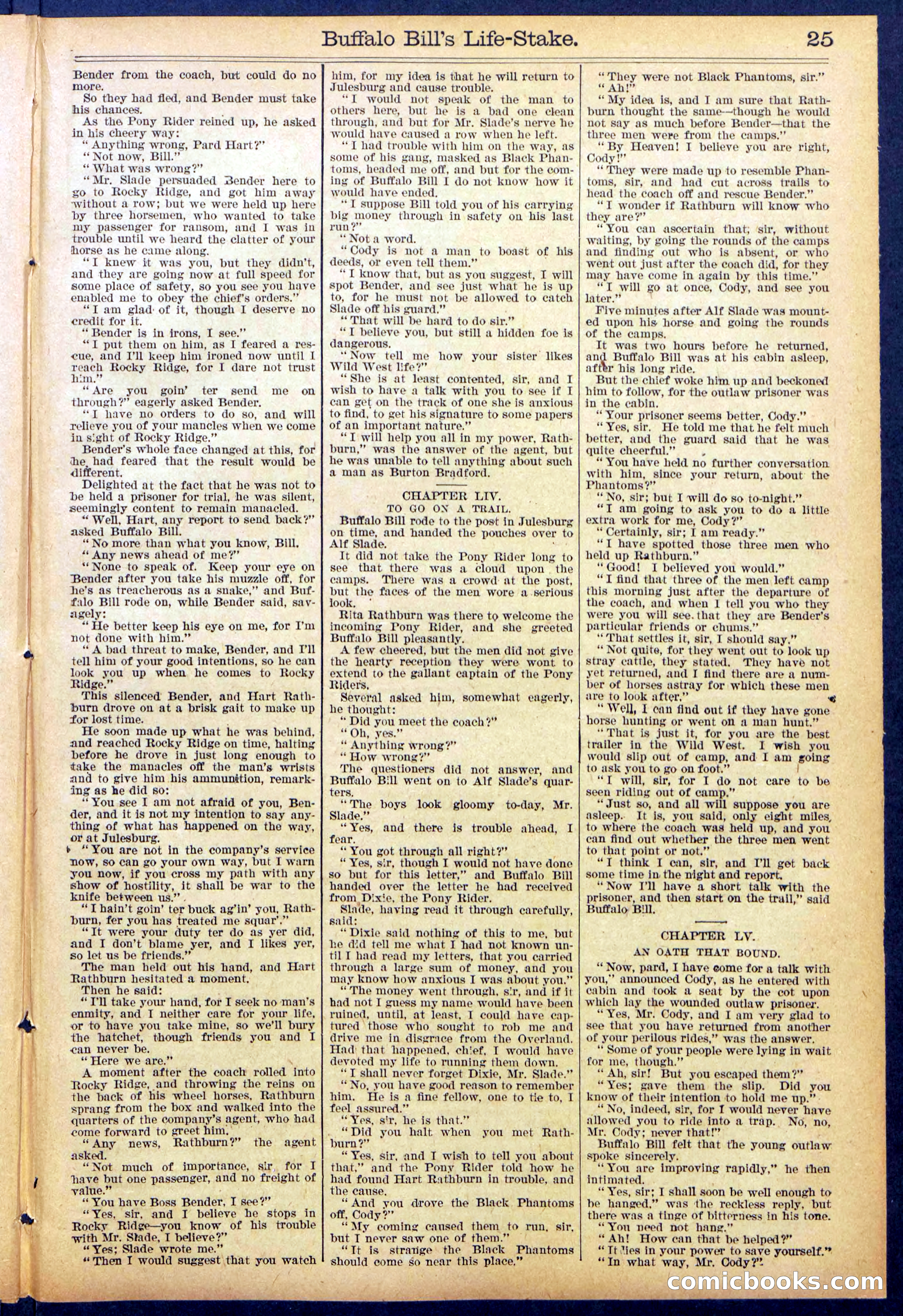 Beadle's New York Dime Library No. 890 — page 25 of 32
