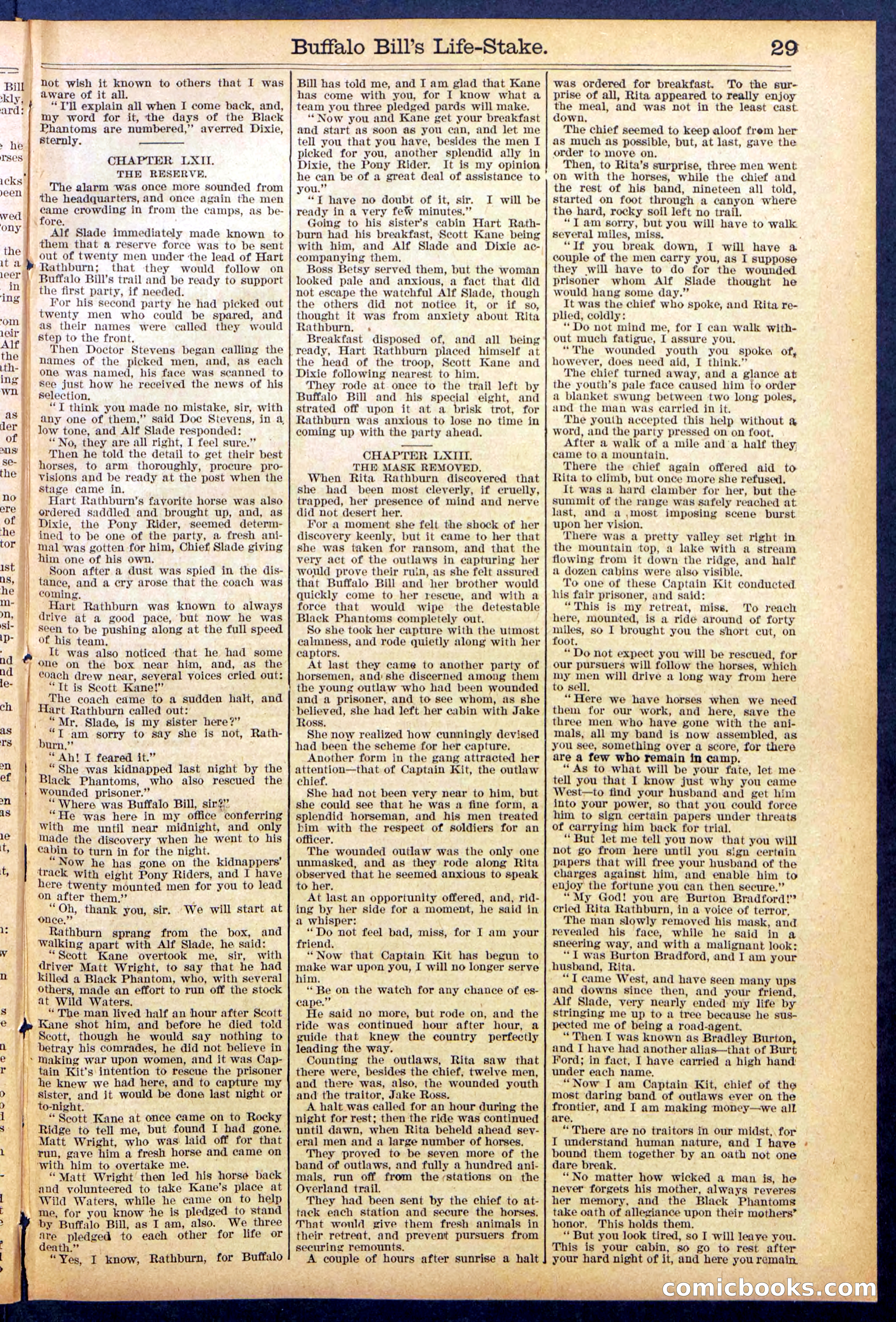 Beadle's New York Dime Library No. 890 — page 29 of 32