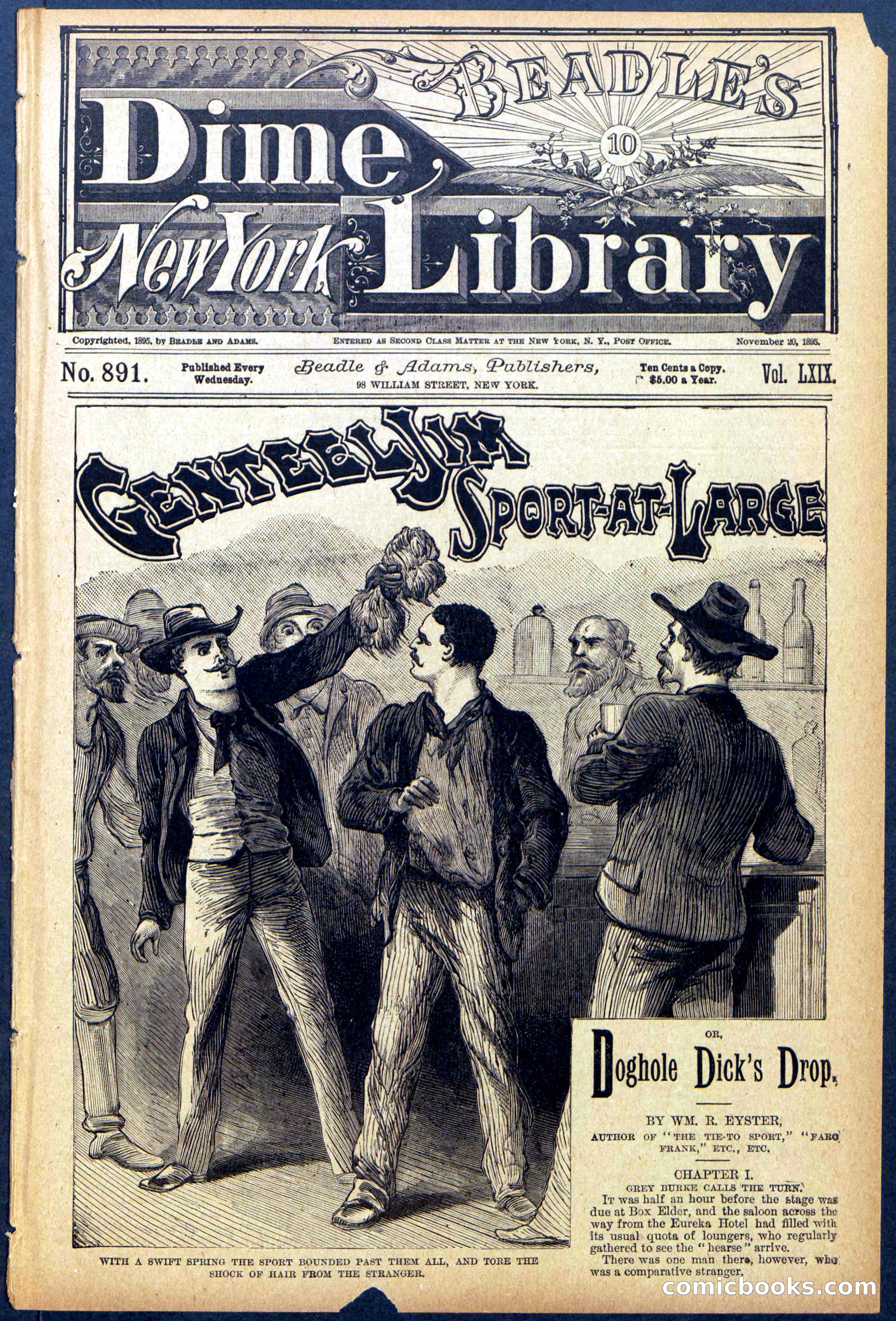 Beadle's Dime Library No. 891 — page 1 of 32