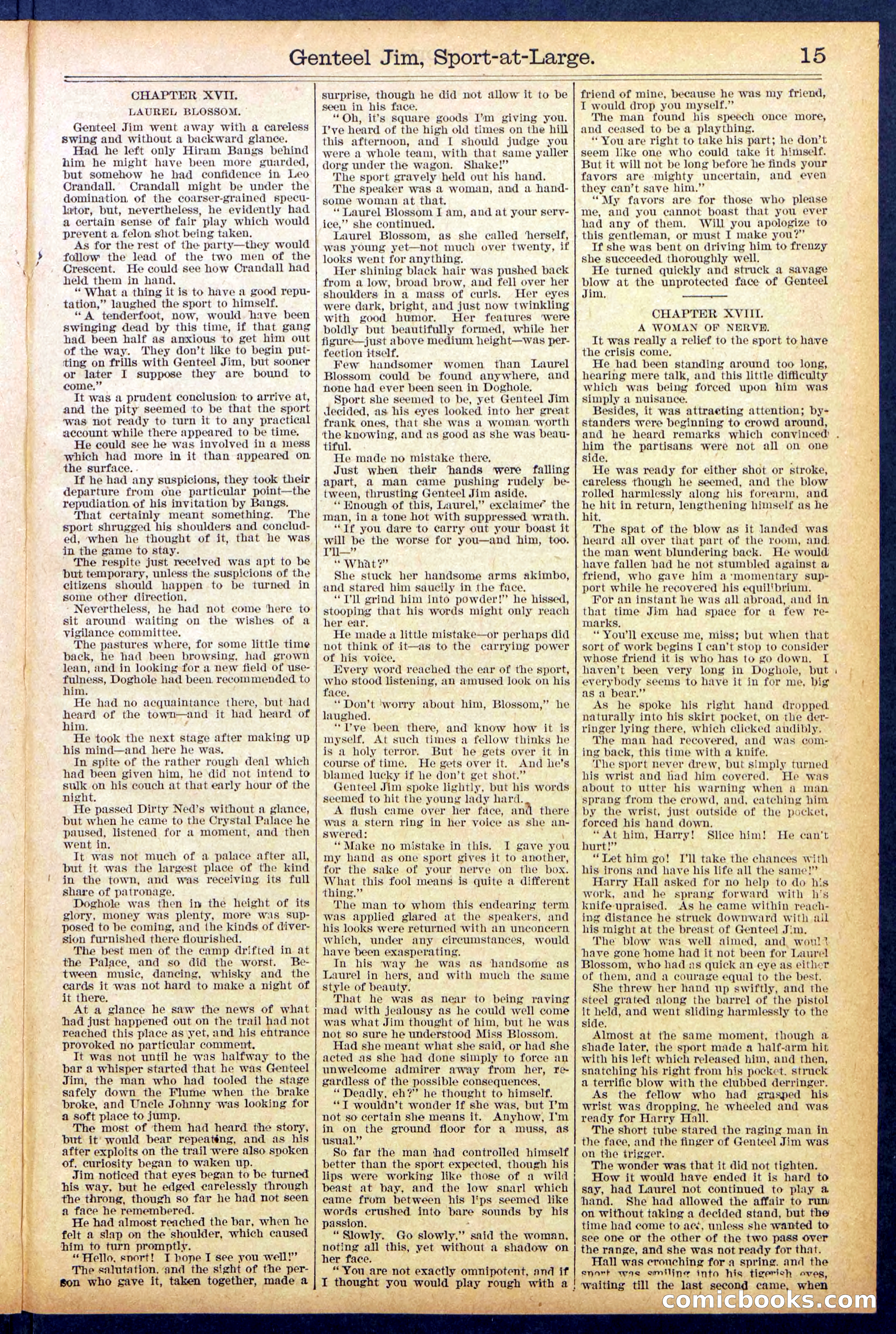 Beadle's Dime Library No. 891 — page 15 of 32