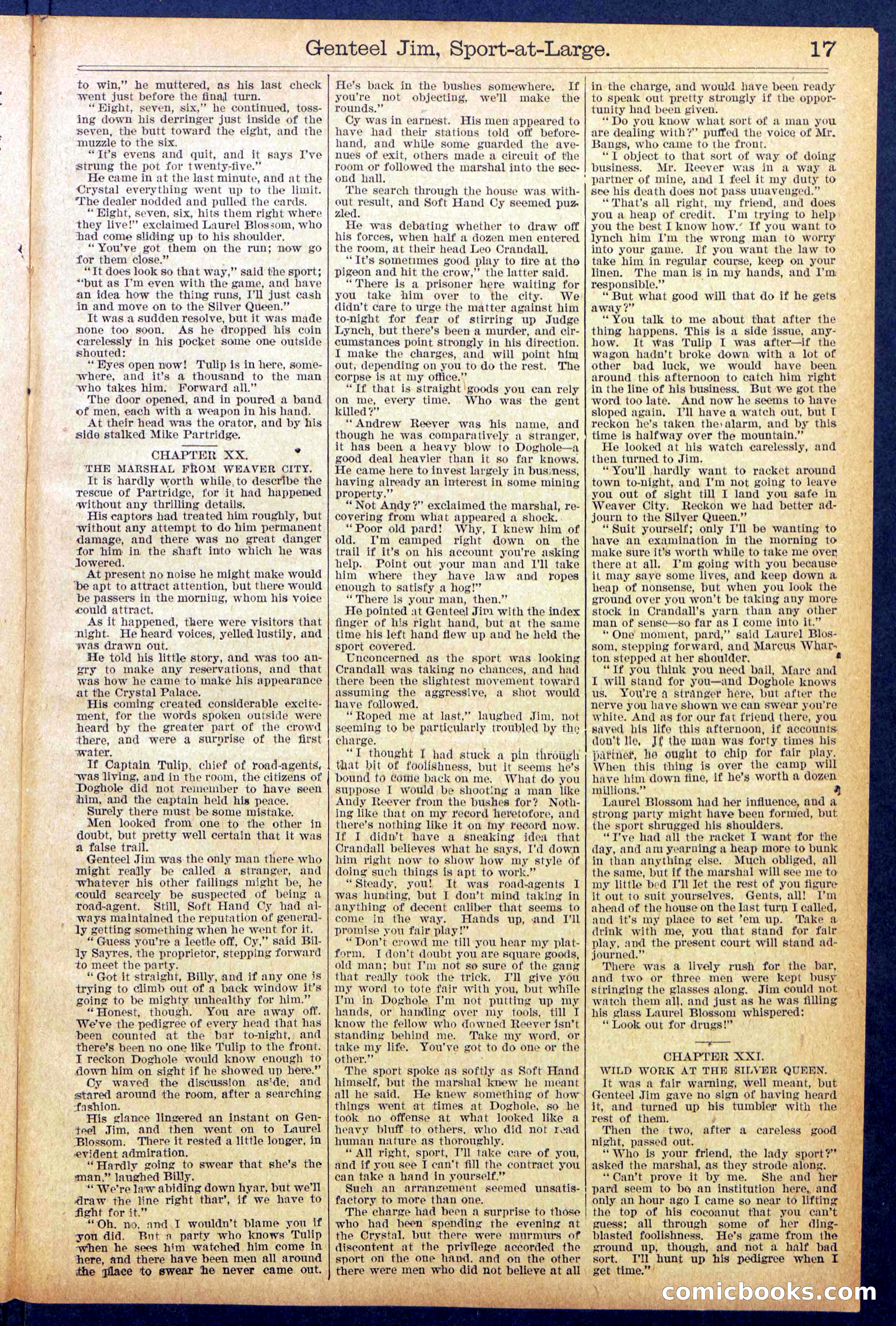 Beadle's Dime Library No. 891 — page 17 of 32