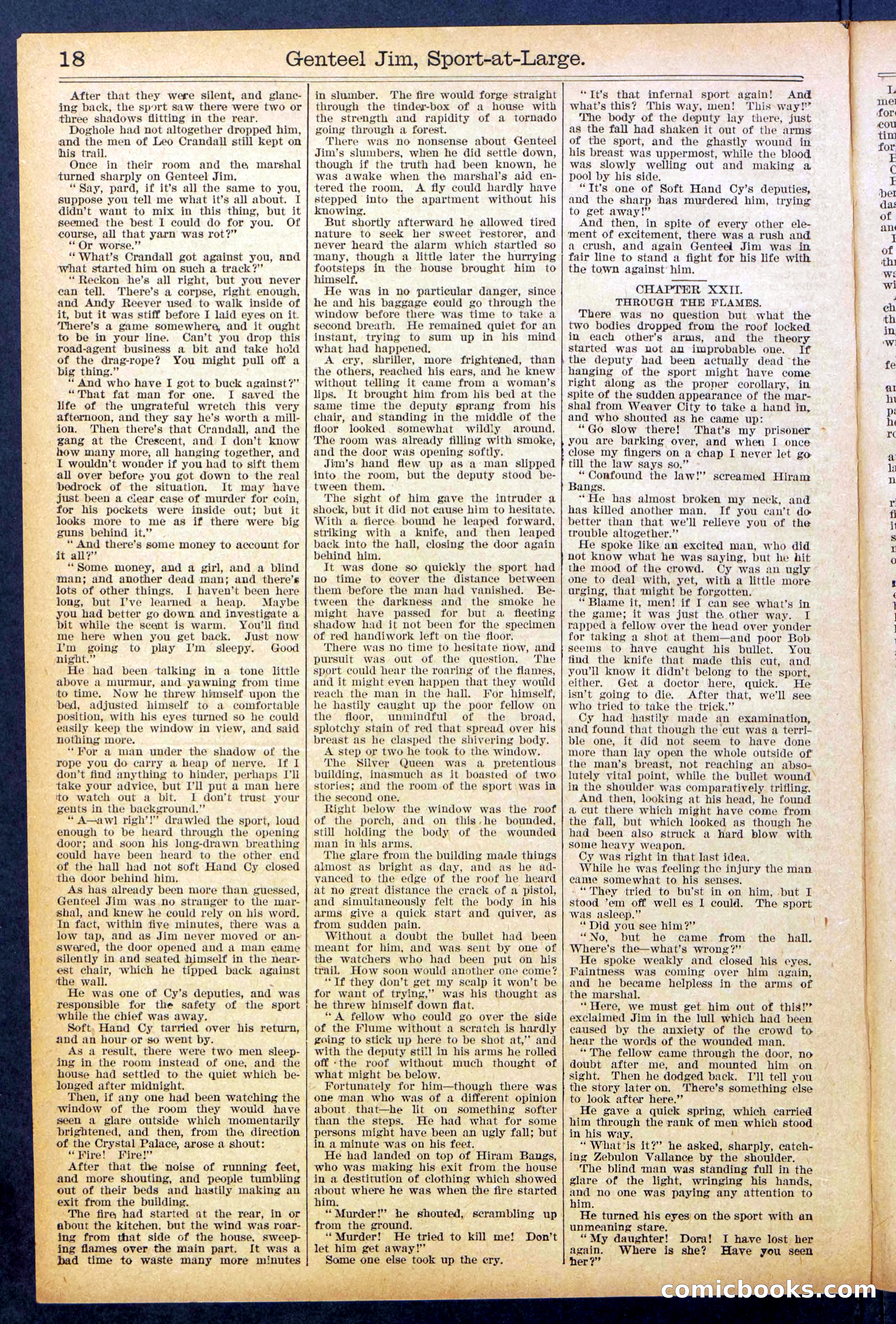 Beadle's Dime Library No. 891 — page 18 of 32