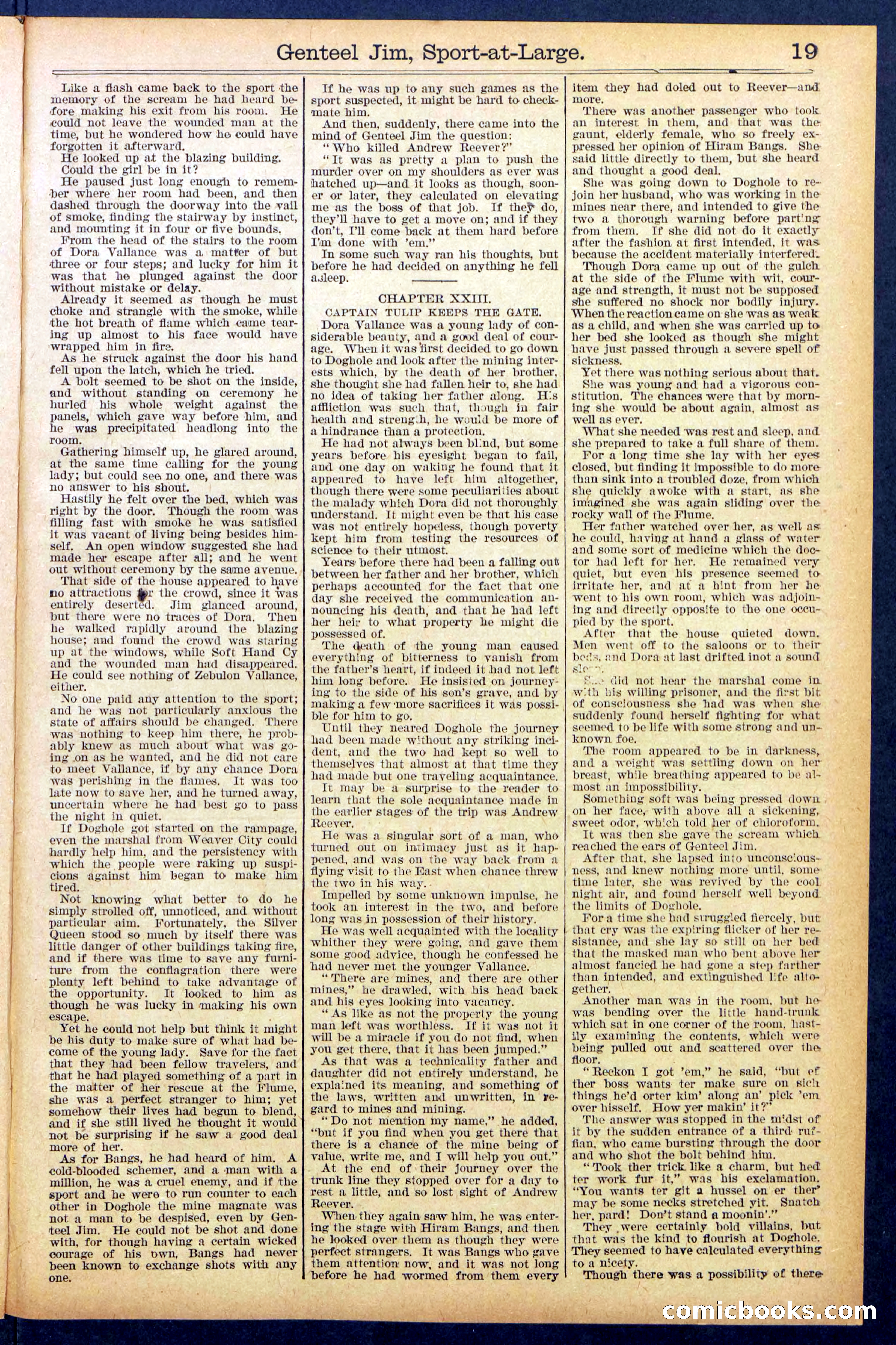 Beadle's Dime Library No. 891 — page 19 of 32
