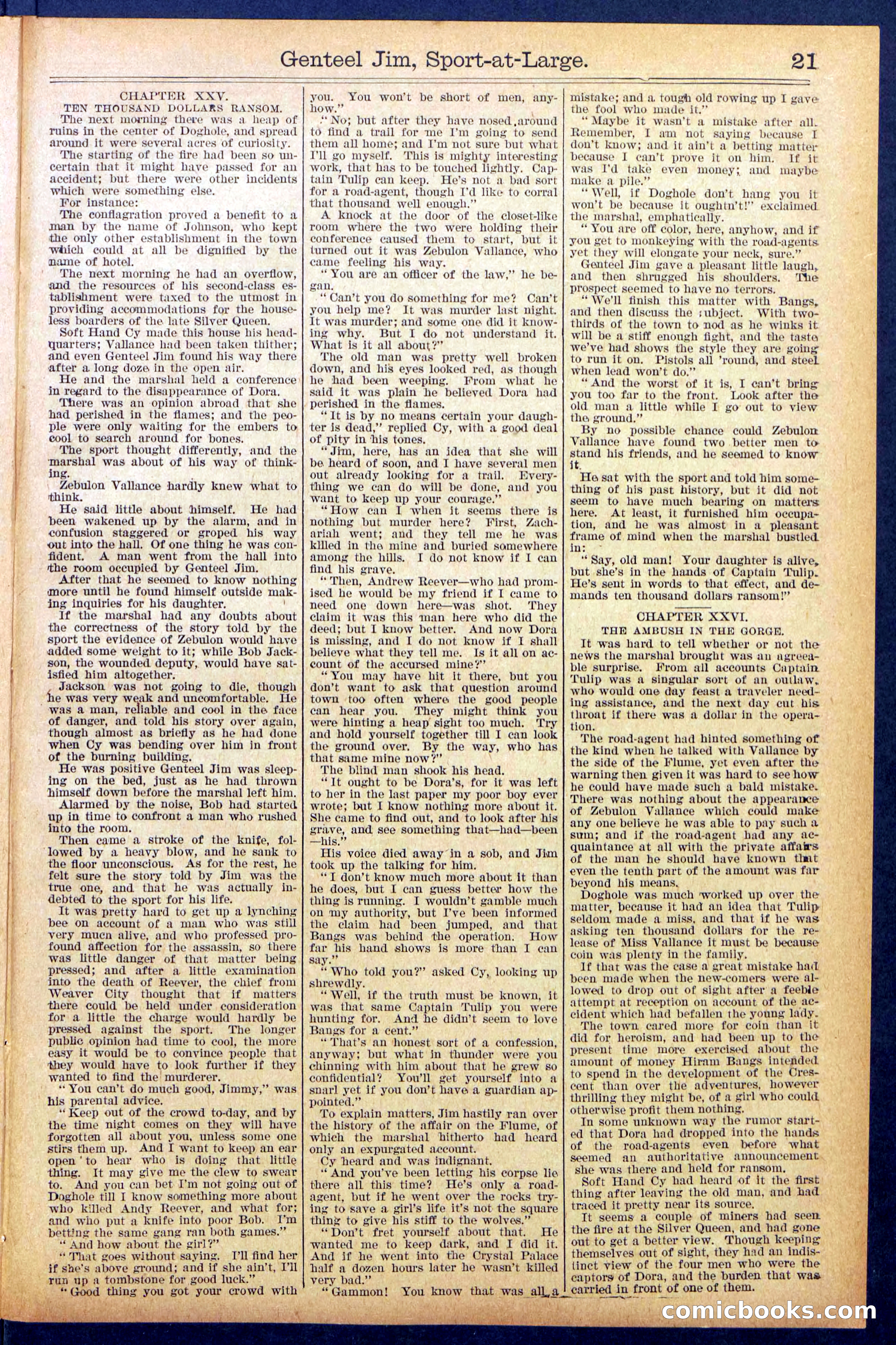 Beadle's Dime Library No. 891 — page 21 of 32