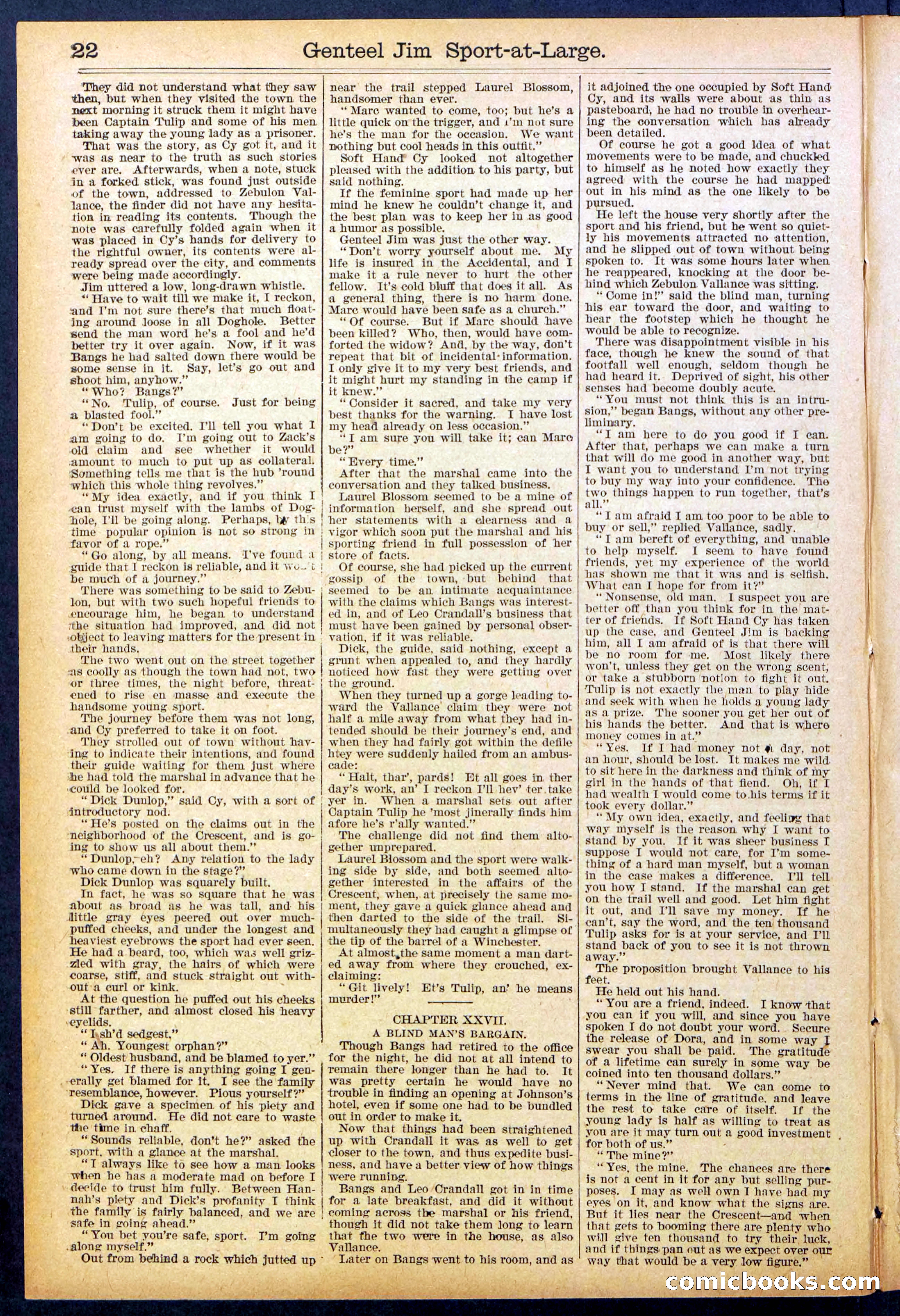 Beadle's Dime Library No. 891 — page 22 of 32