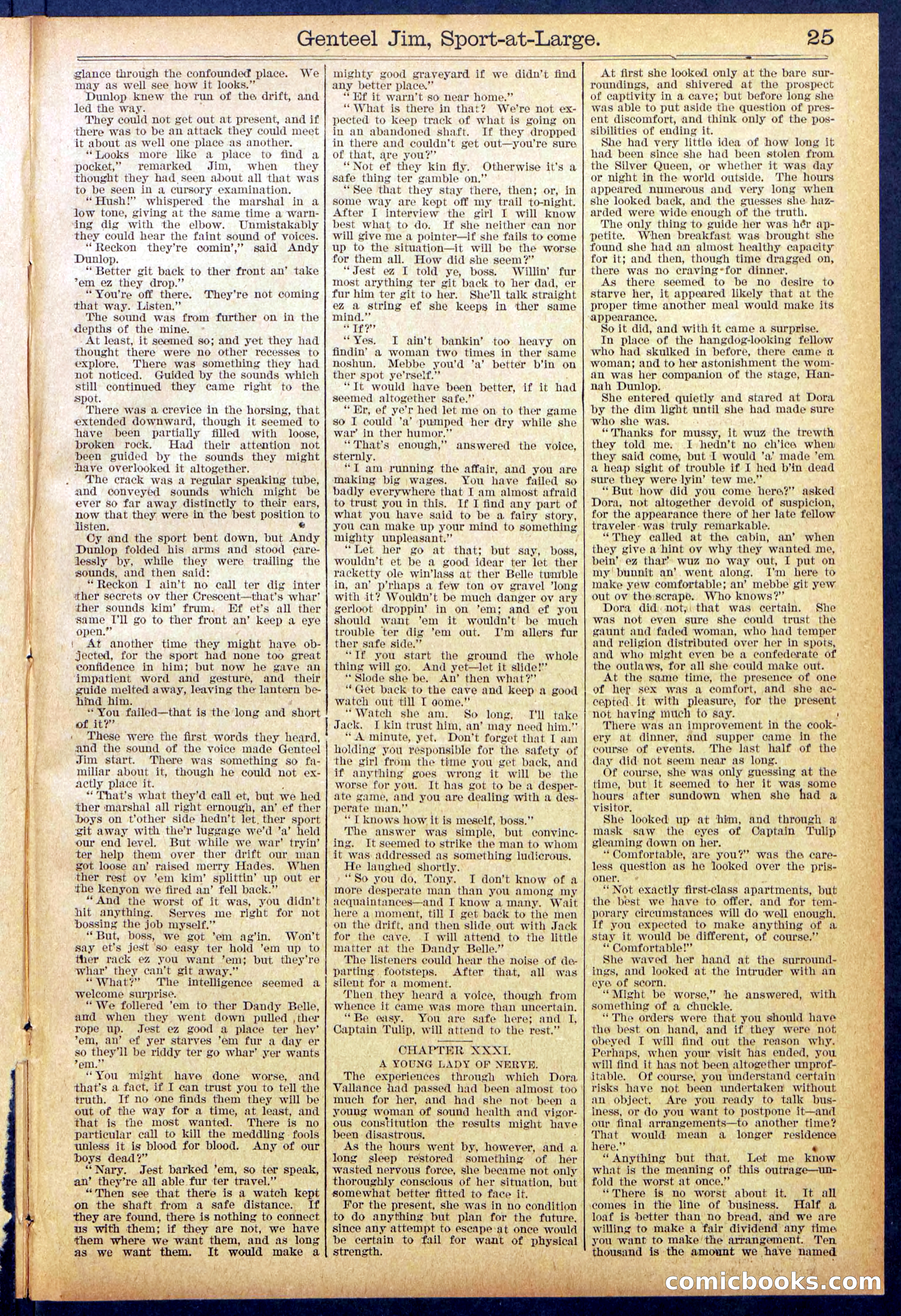 Beadle's Dime Library No. 891 — page 25 of 32