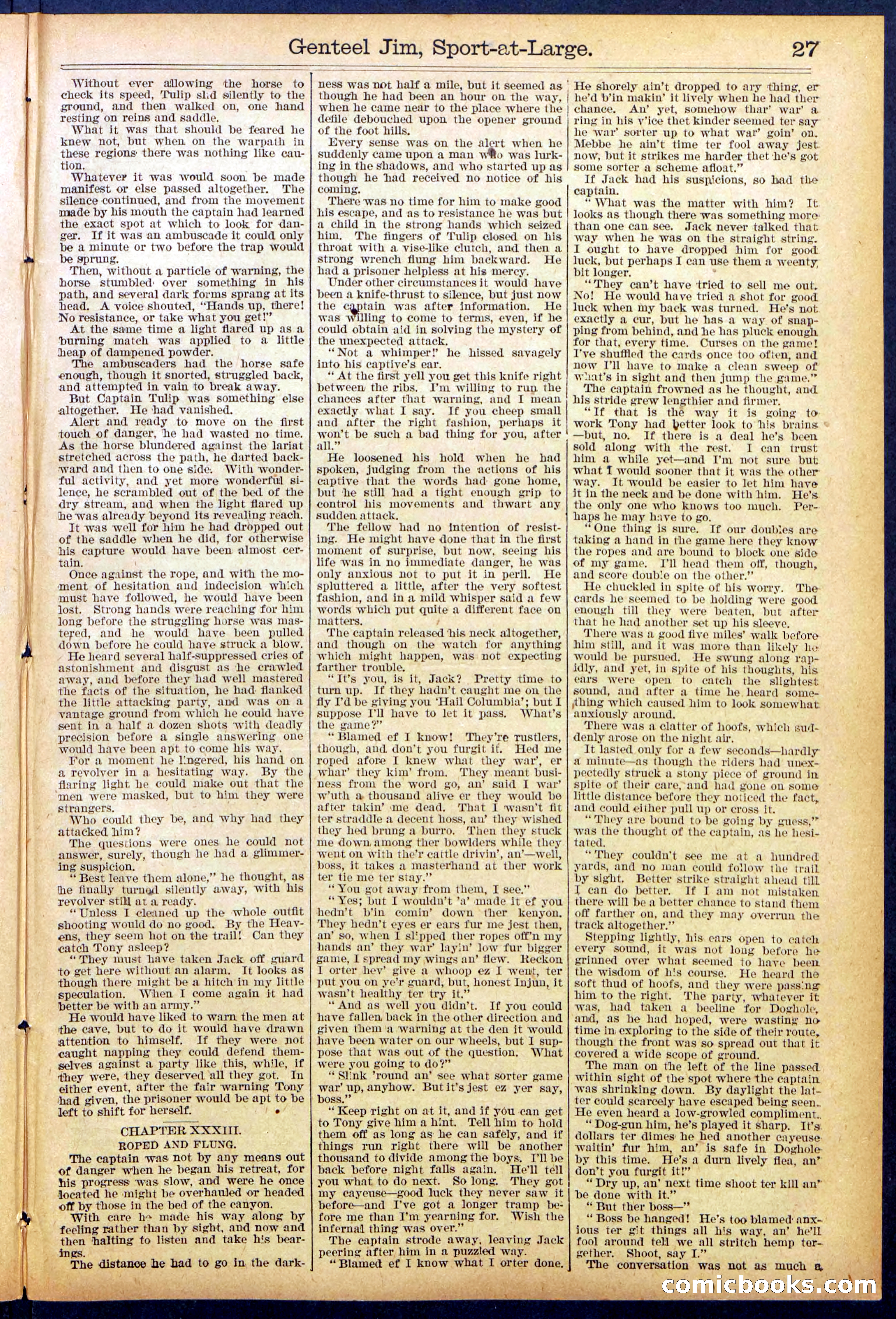 Beadle's Dime Library No. 891 — page 27 of 32