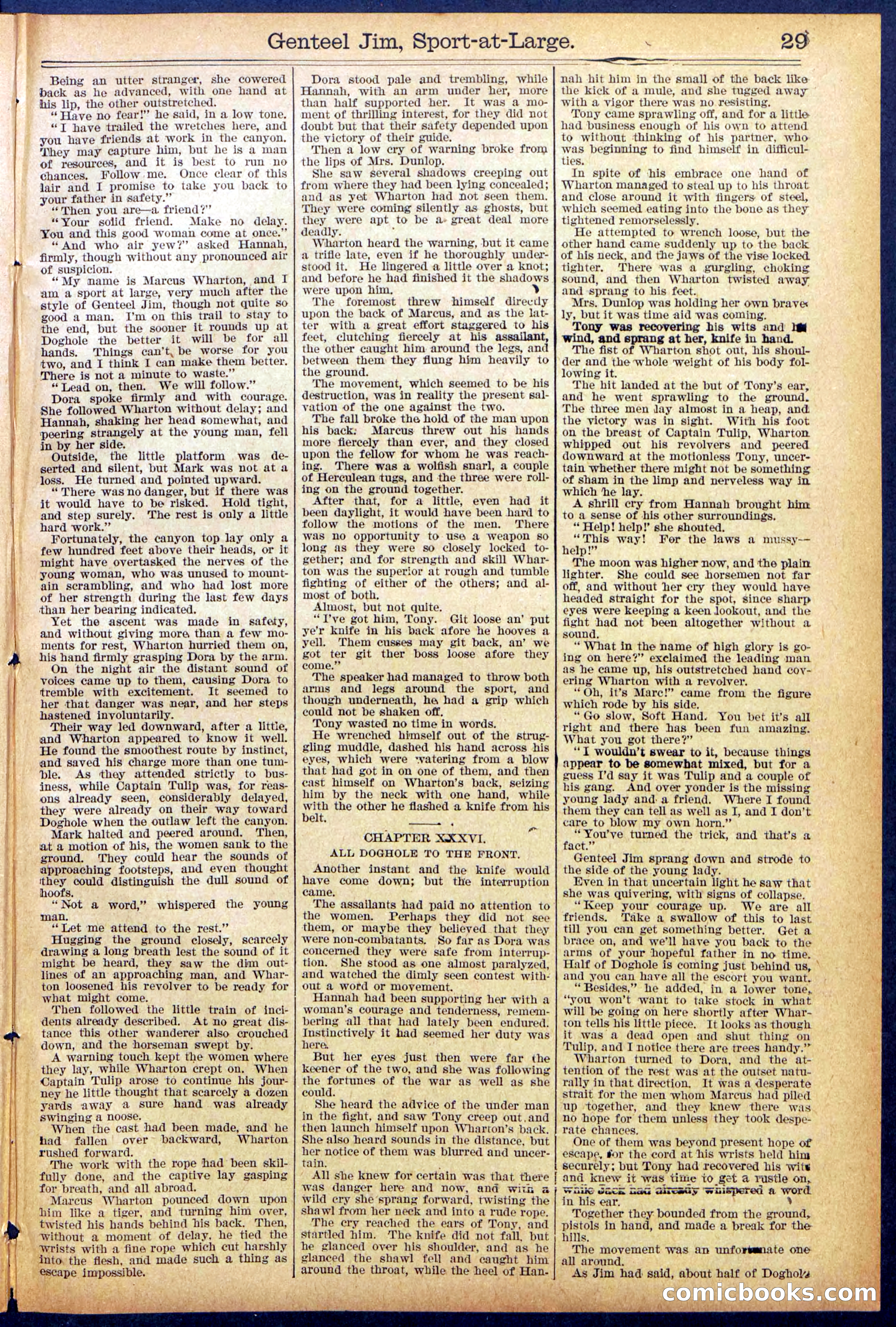 Beadle's Dime Library No. 891 — page 29 of 32