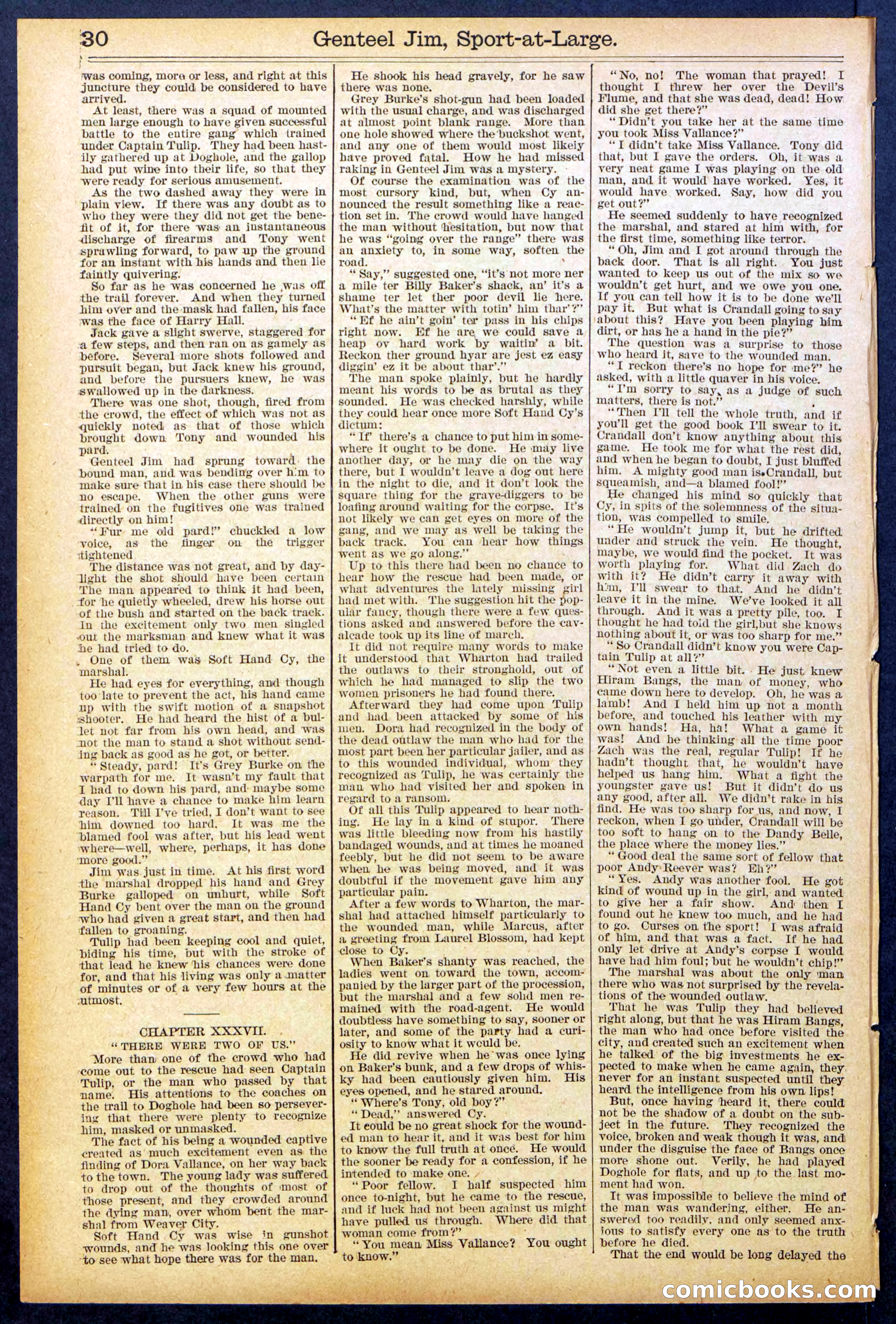 Beadle's Dime Library No. 891 — page 30 of 32