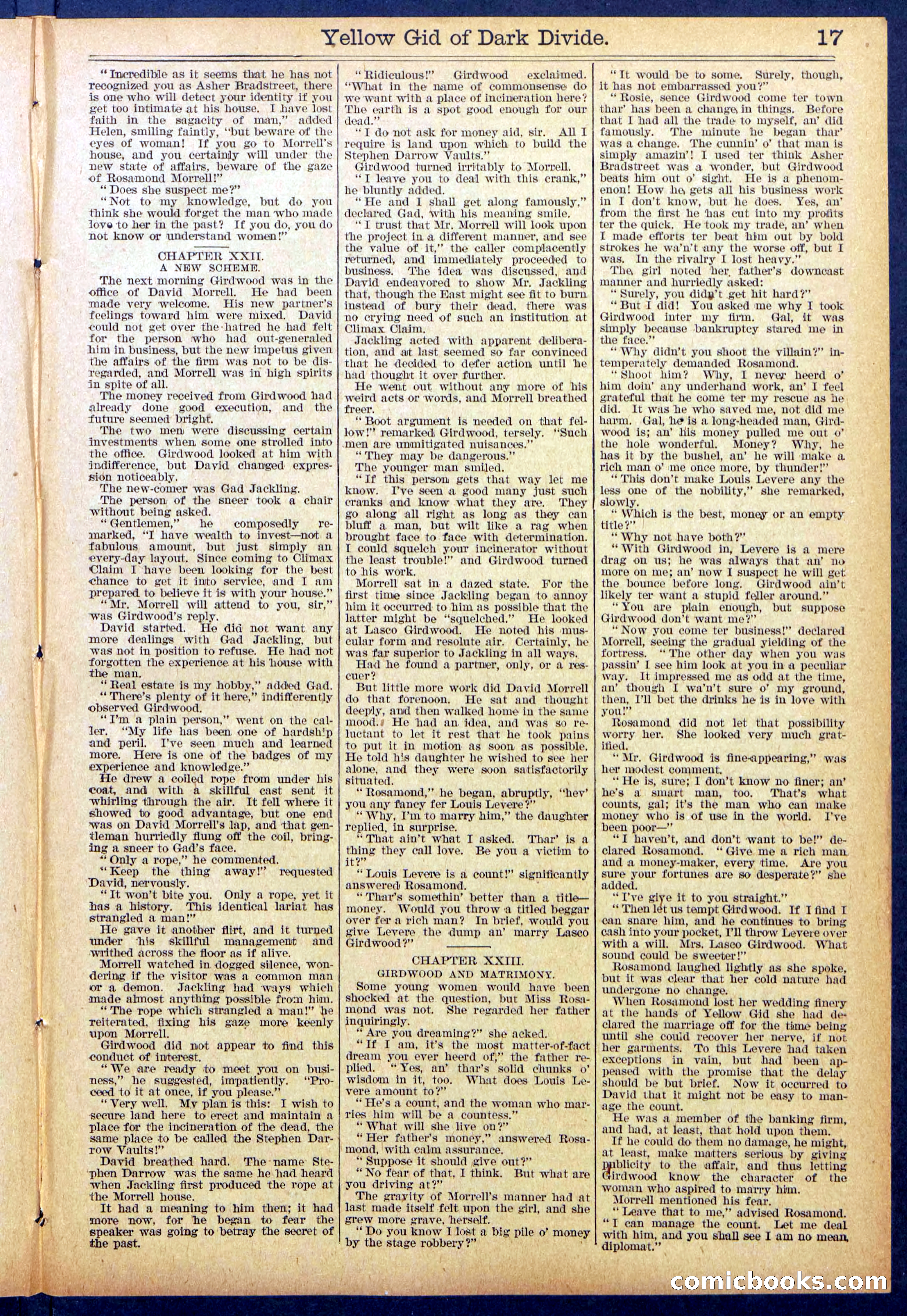 Beadle's Dime Library No. 893 — page 17 of 32