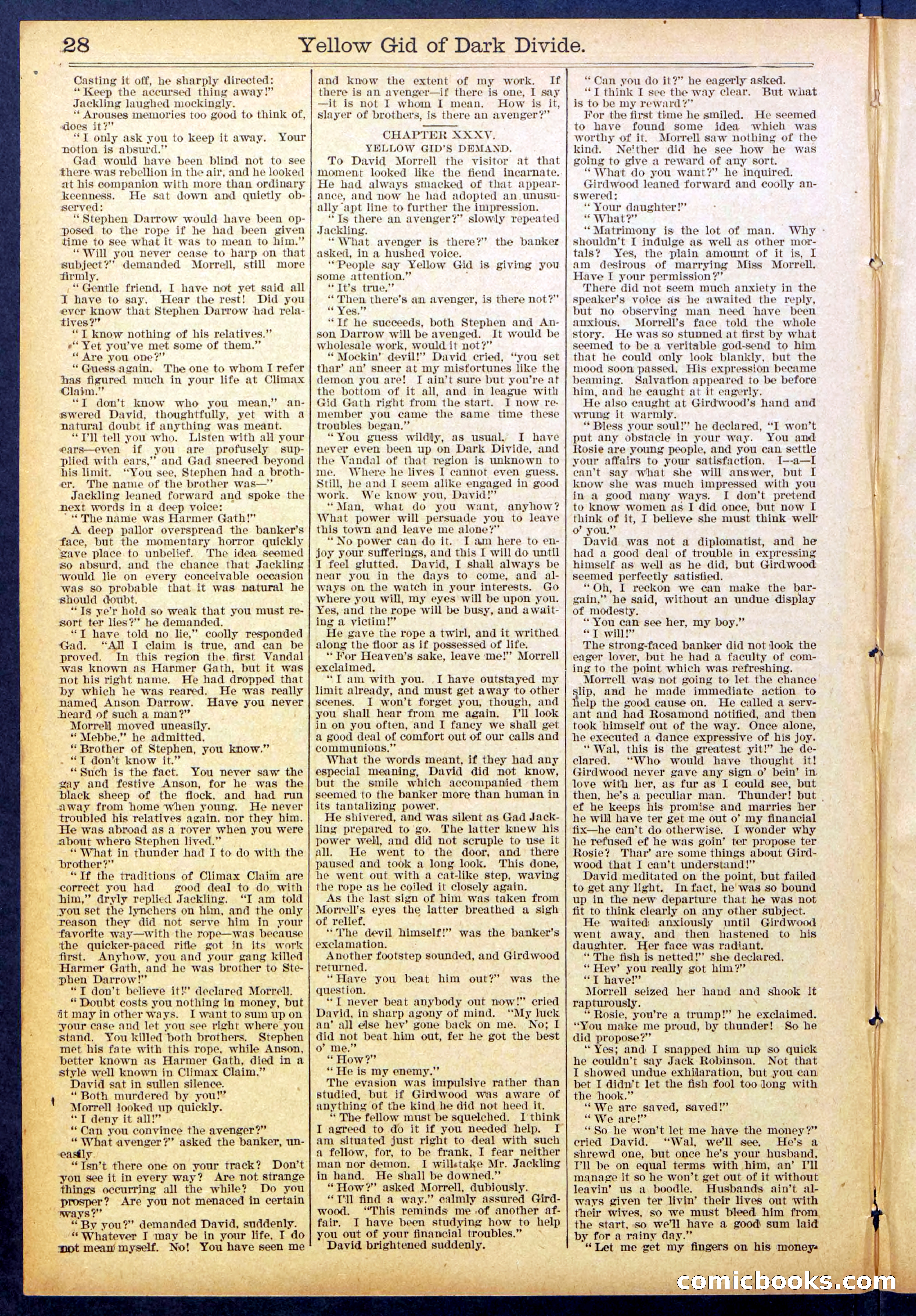 Beadle's Dime Library No. 893 — page 28 of 32