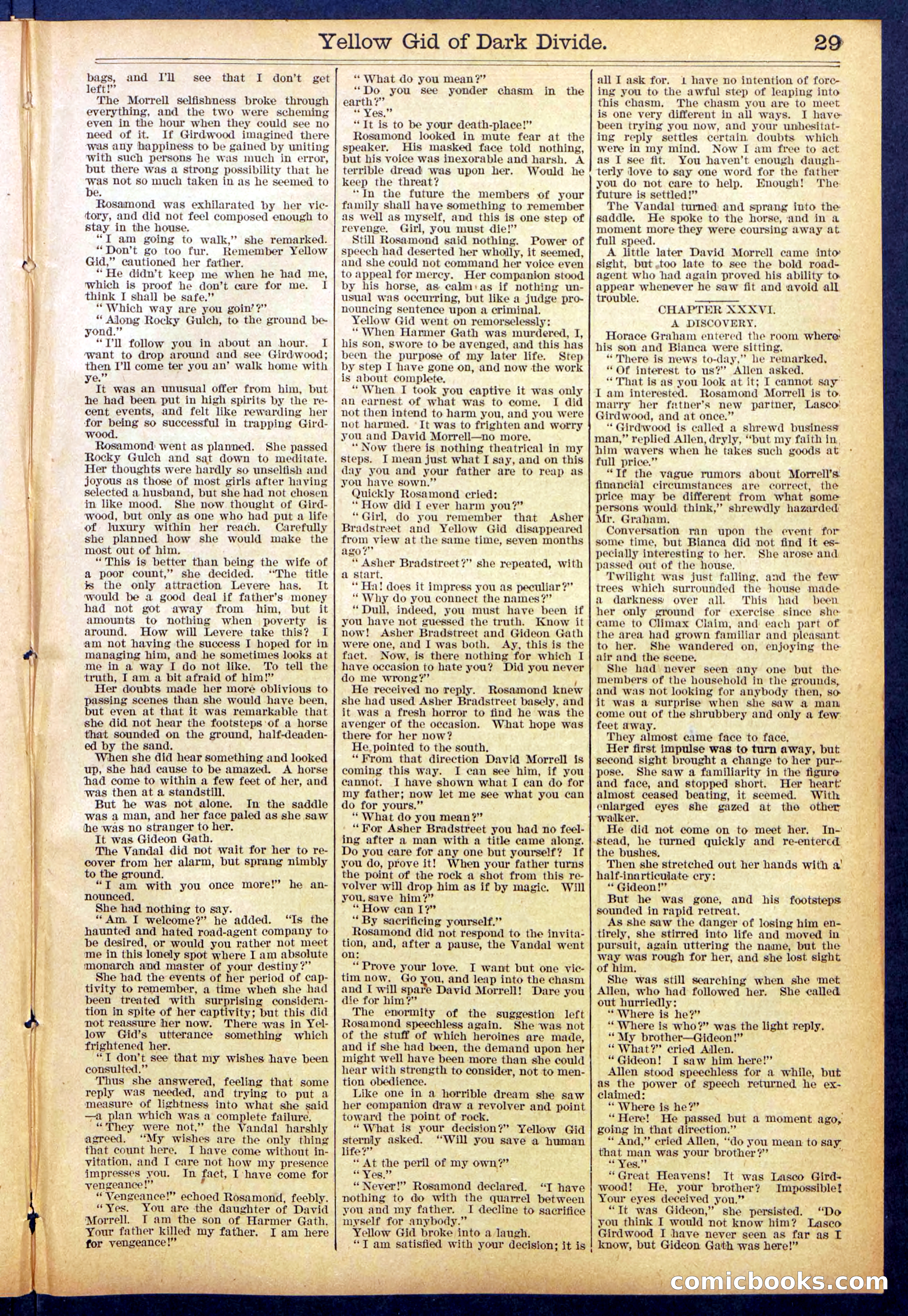 Beadle's Dime Library No. 893 — page 29 of 32
