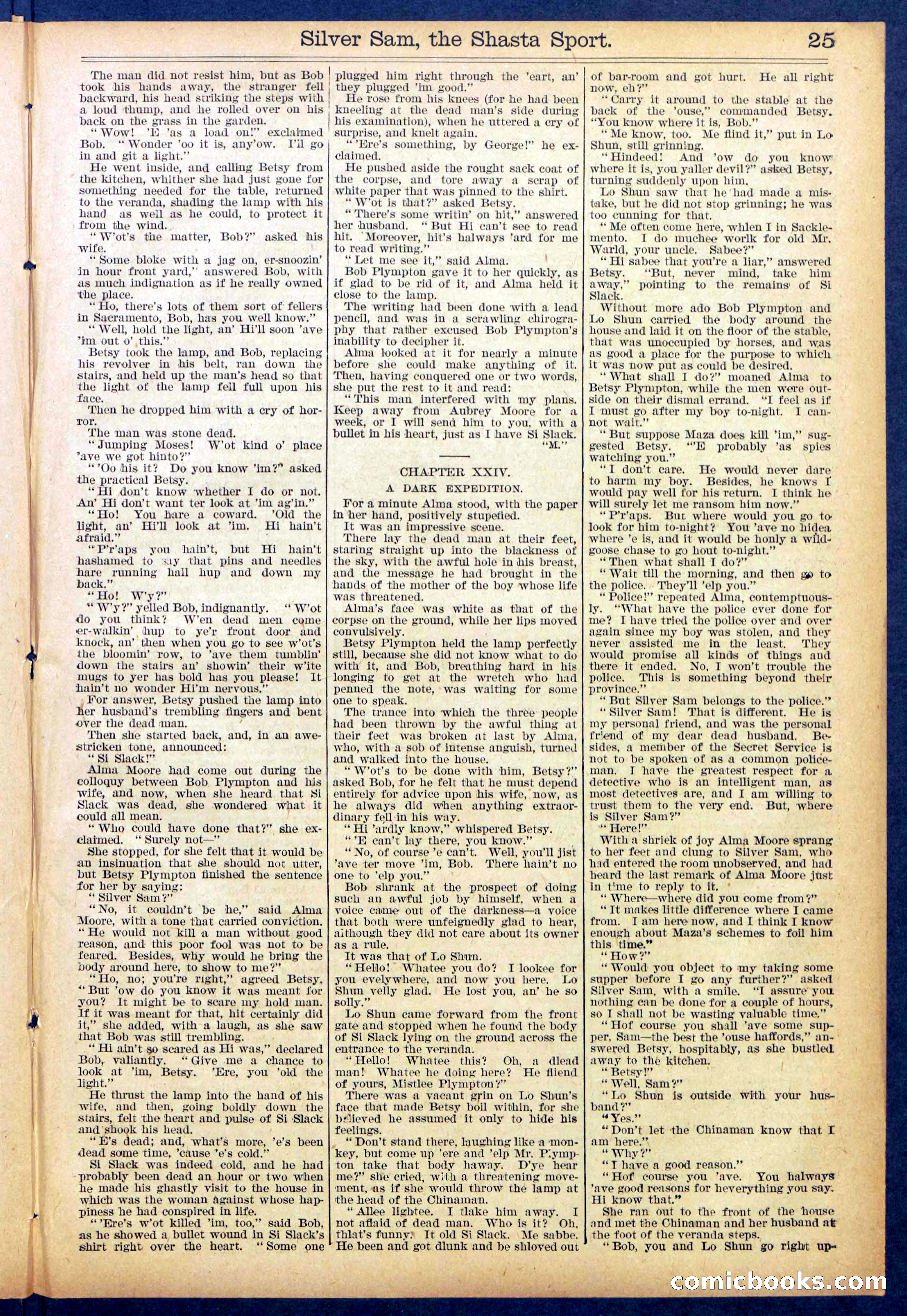 Beadle's Dime Library No. 894 — page 25 of 32