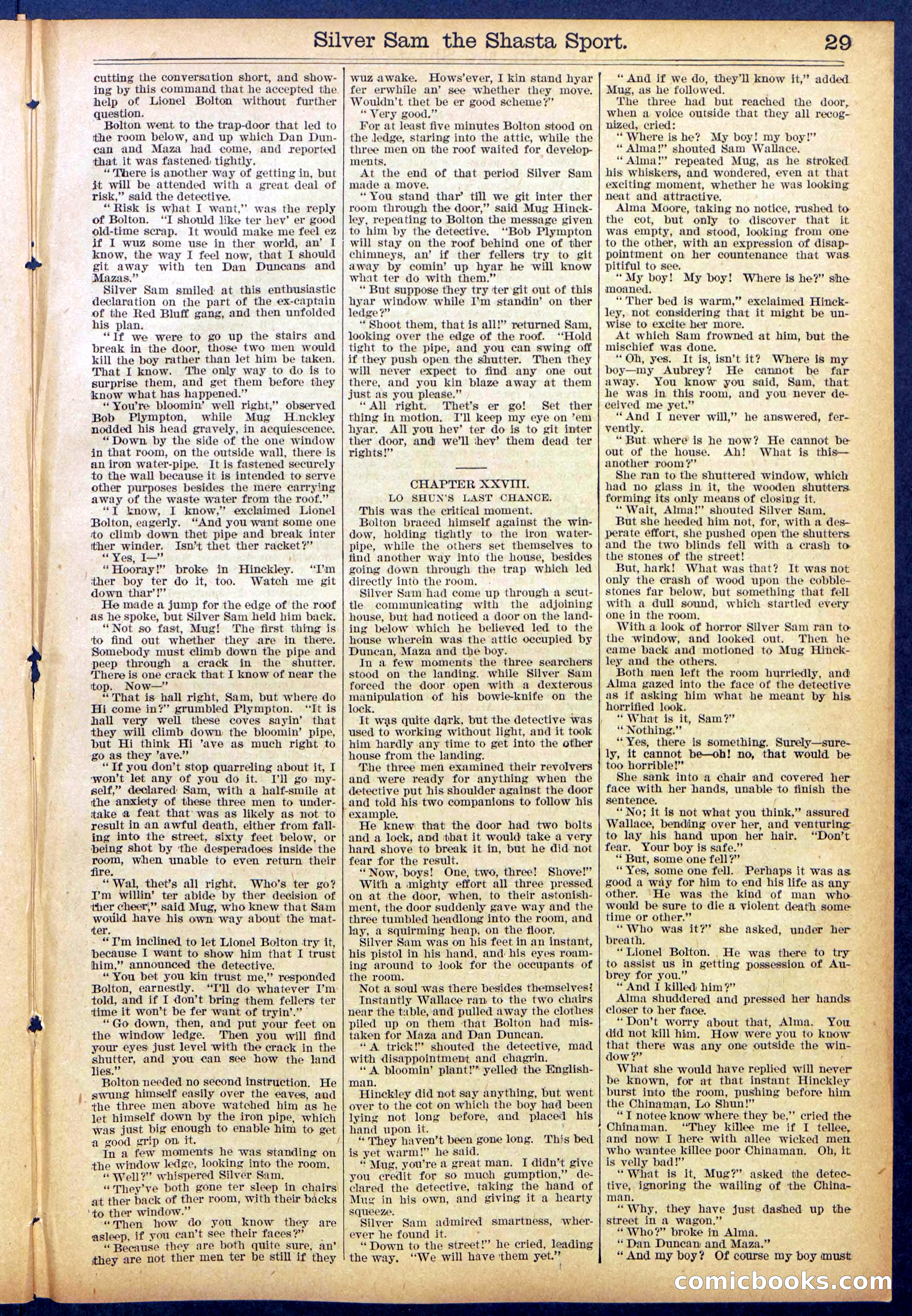 Beadle's Dime Library No. 894 — page 29 of 32