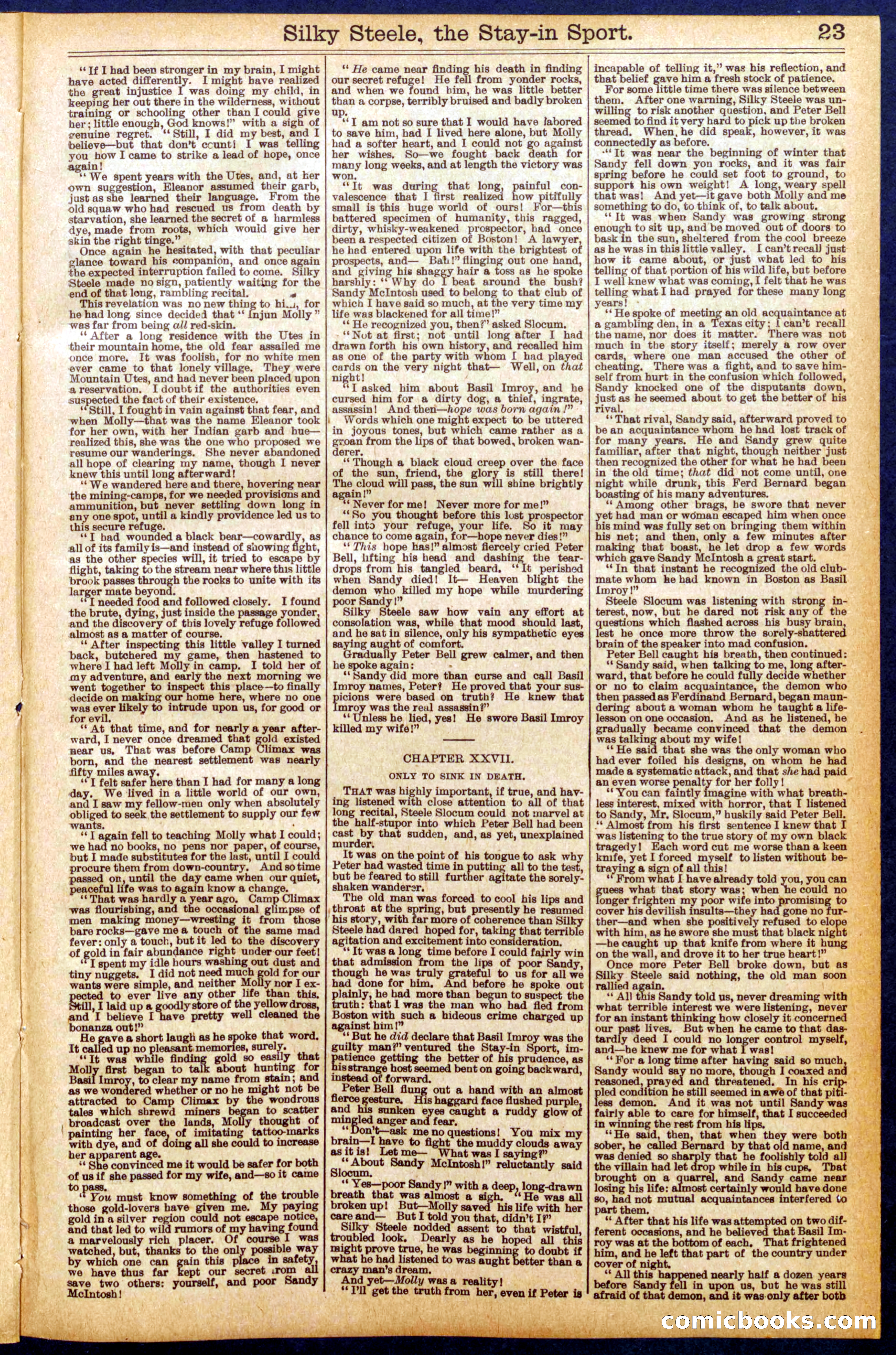 Beadle's Dime Library No. 898 — page 23 of 32