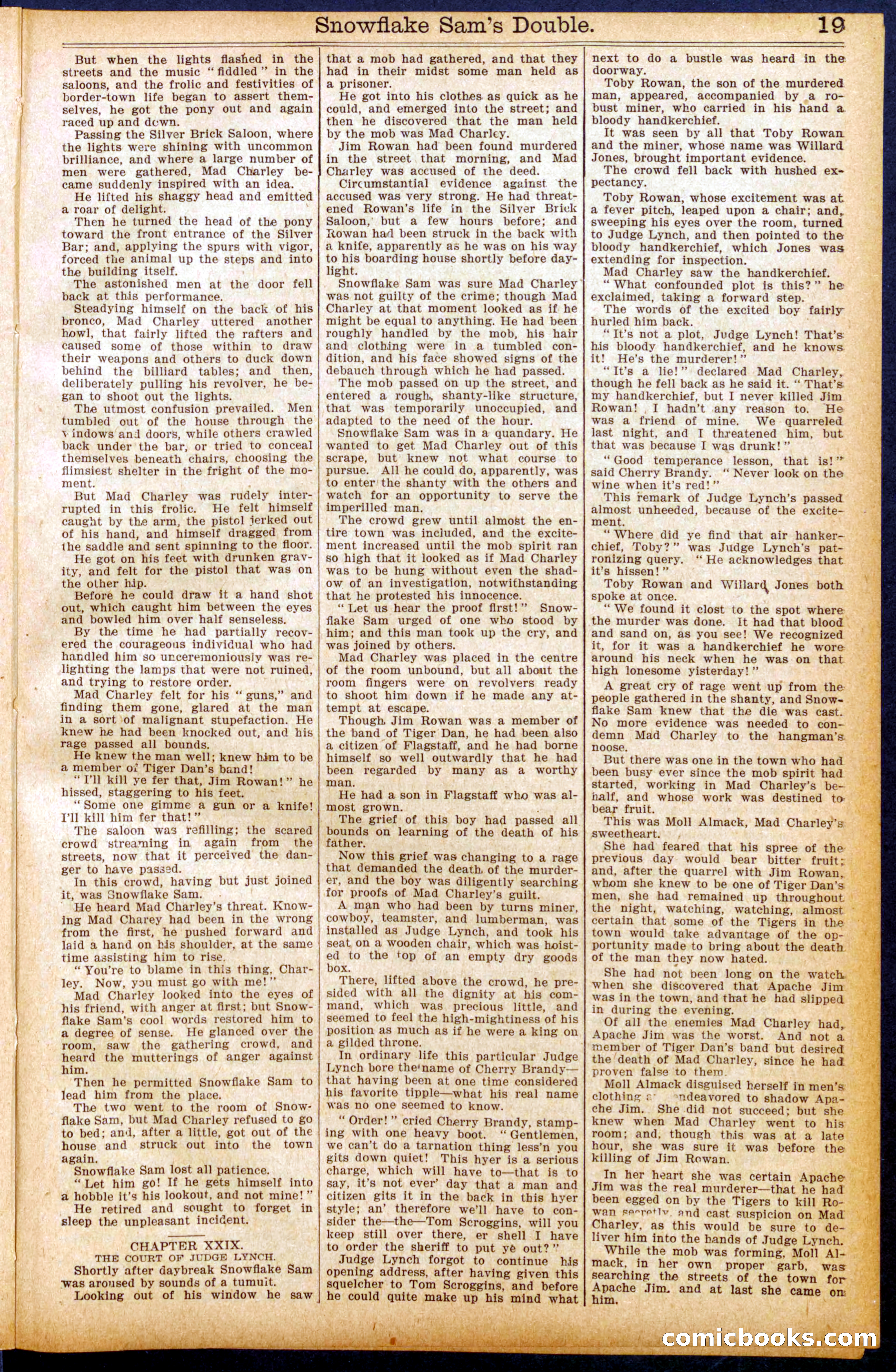 Beadle's New York Dime Library No. 914 — page 19 of 32