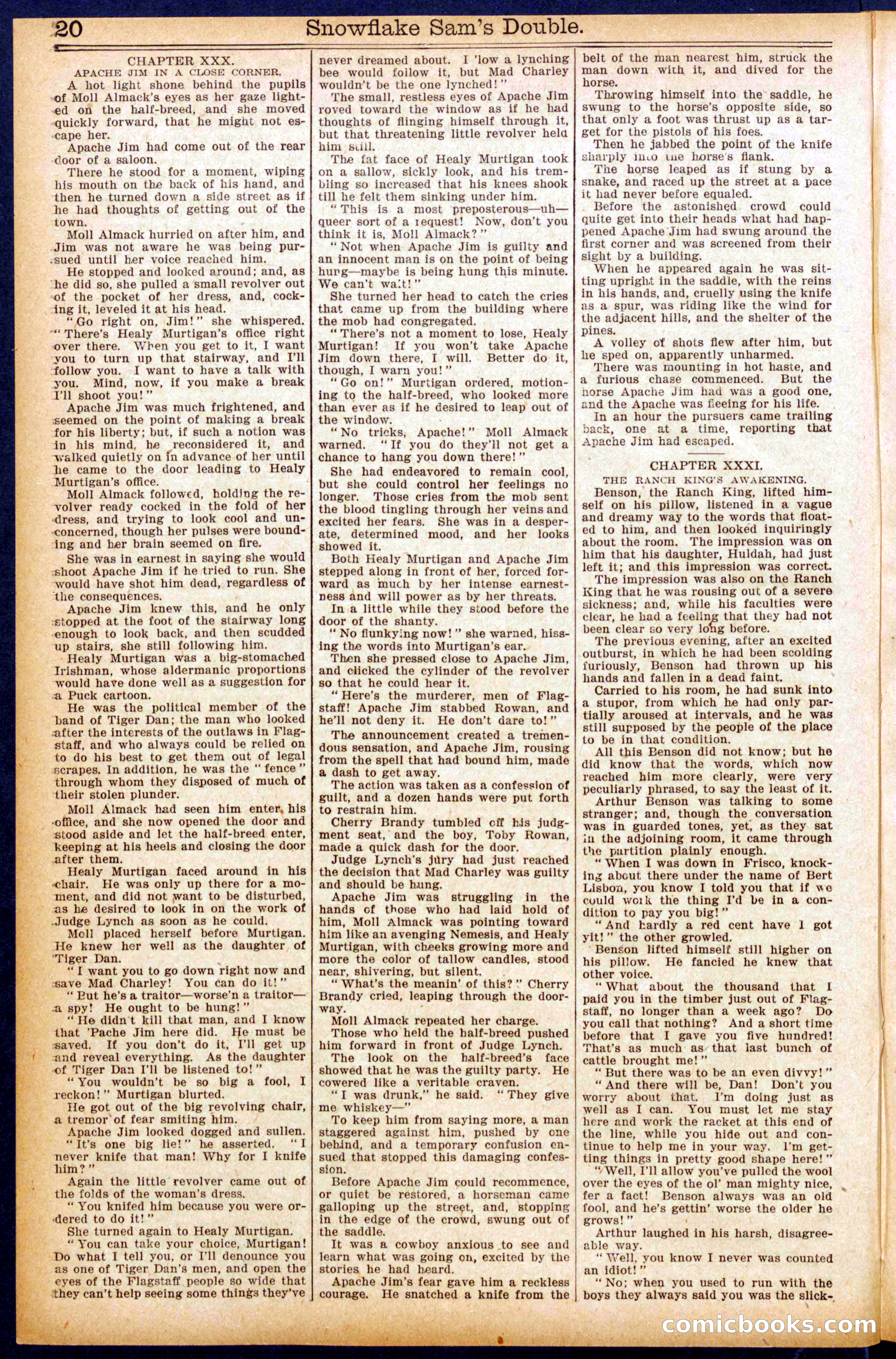 Beadle's New York Dime Library No. 914 — page 20 of 32