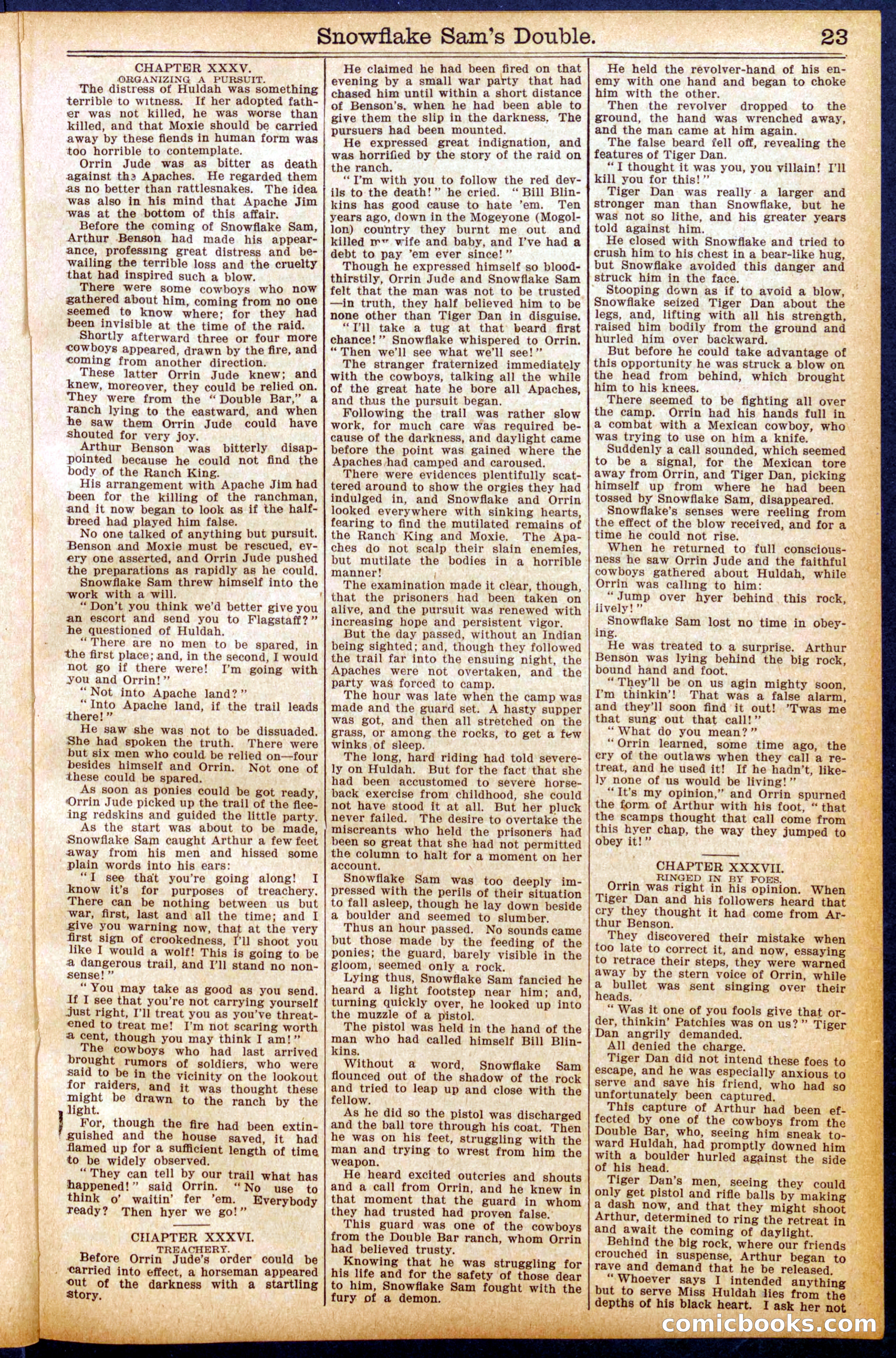 Beadle's New York Dime Library No. 914 — page 23 of 32