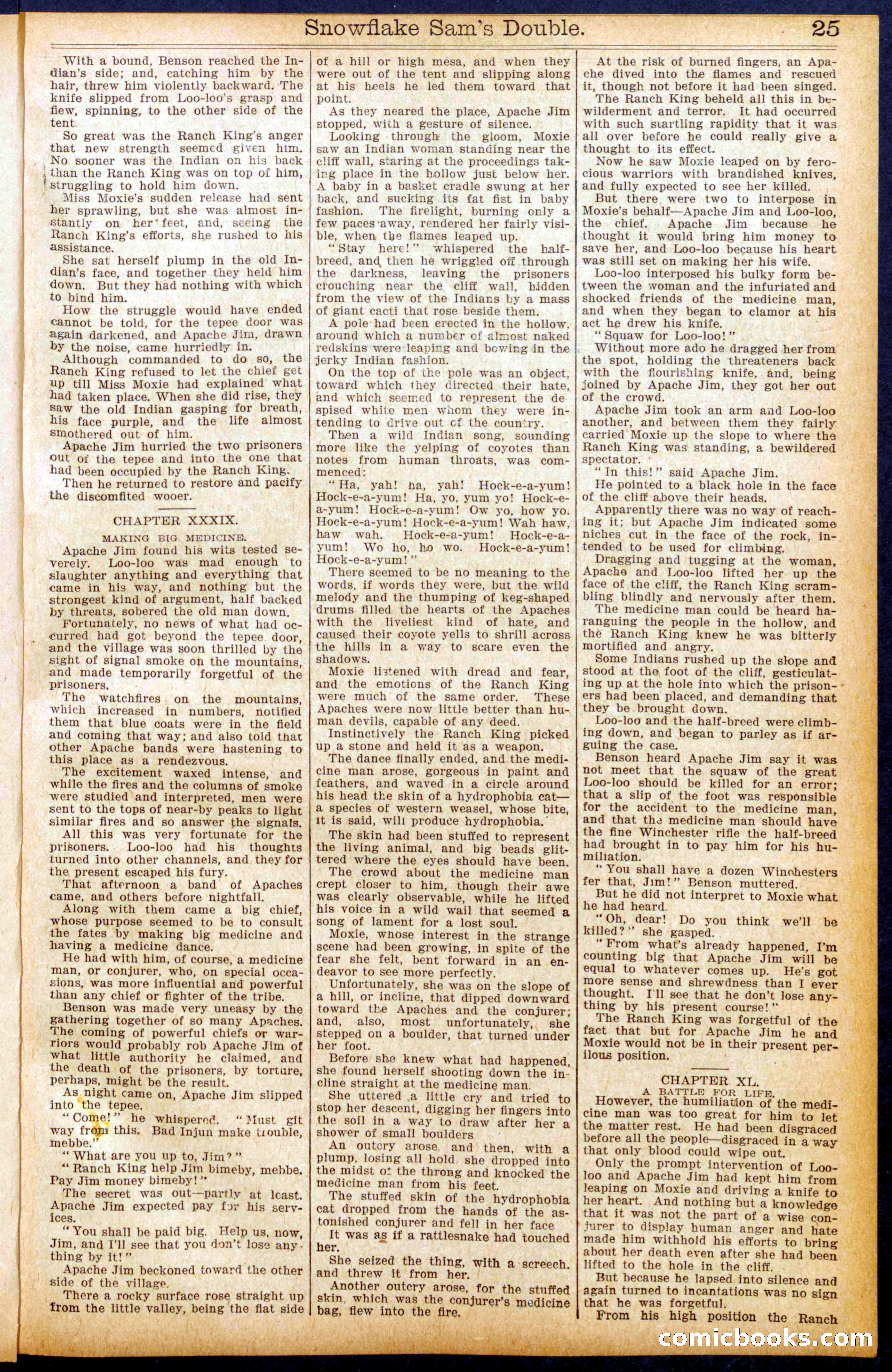 Beadle's New York Dime Library No. 914 — page 25 of 32