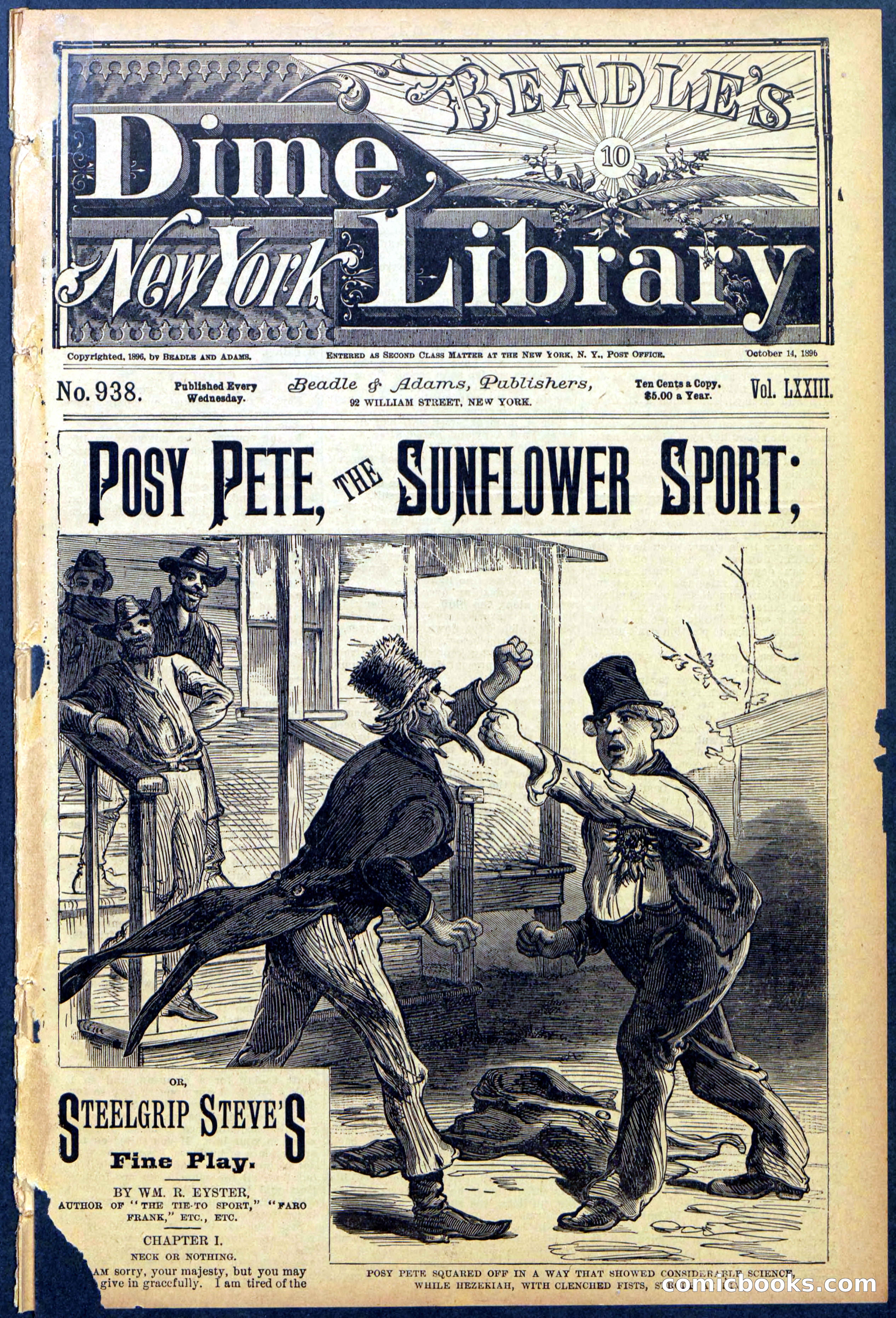 Beadle's New York Dime Library No. 938 — page 1 of 32