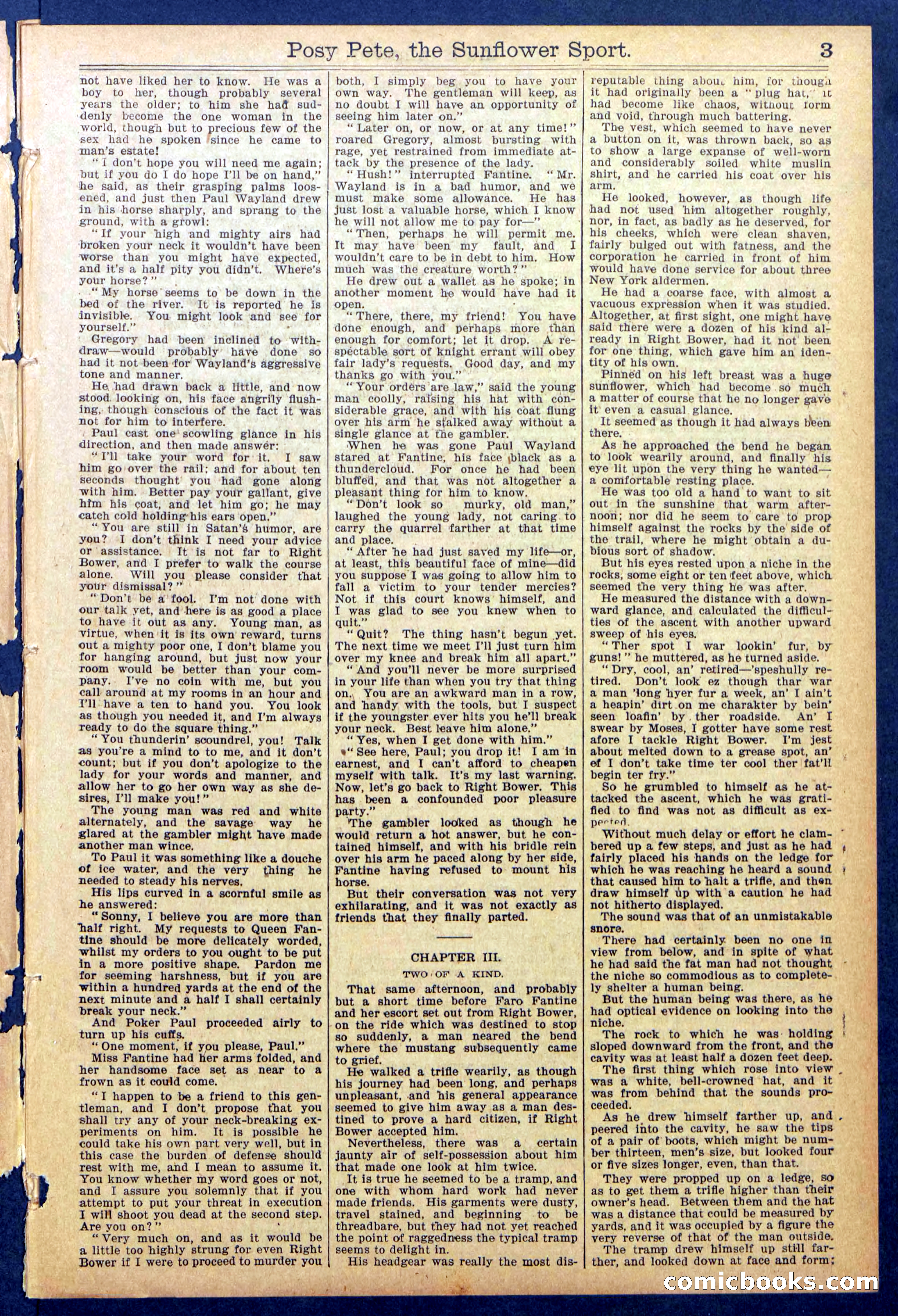 Beadle's New York Dime Library No. 938 — page 3 of 32