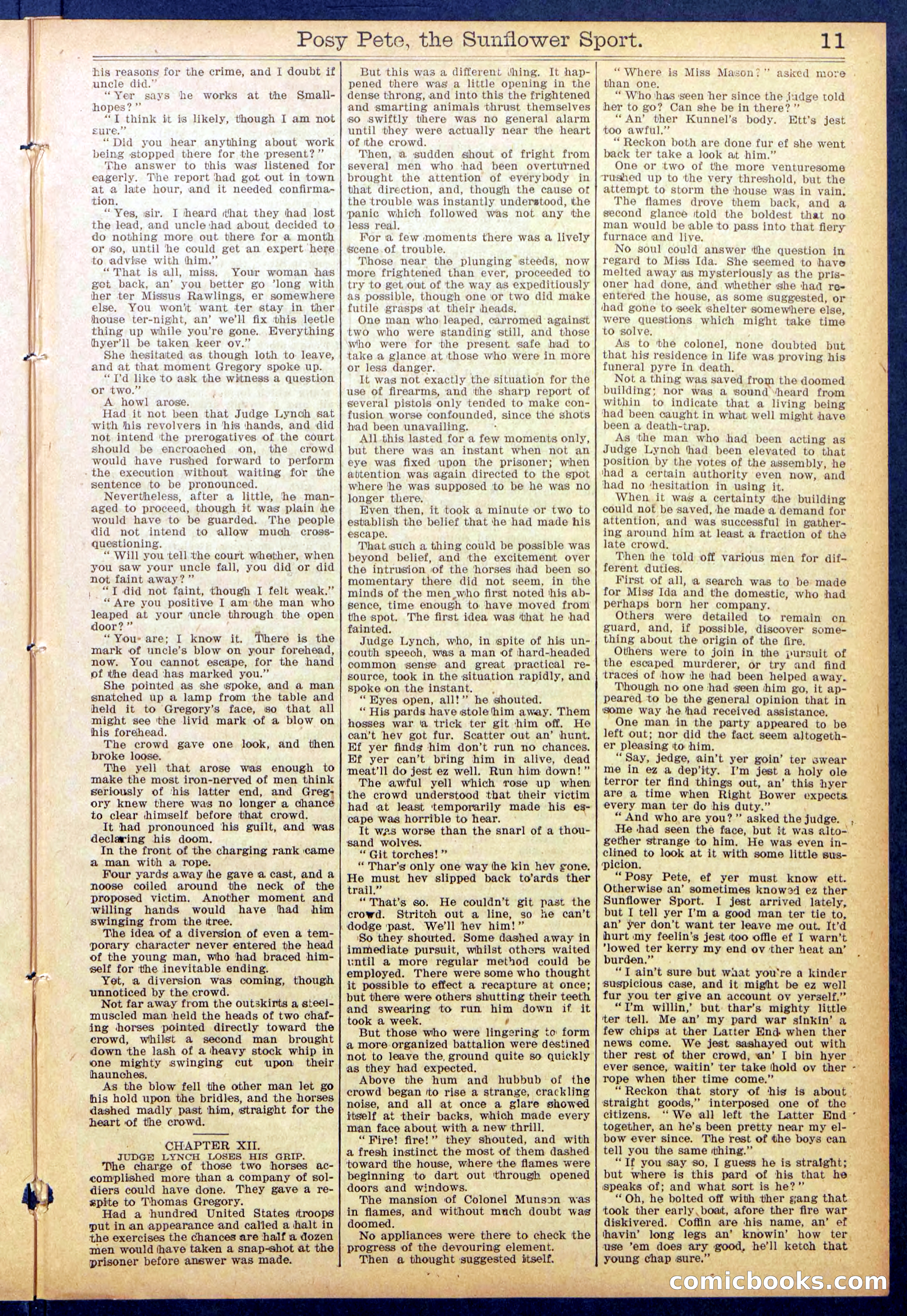 Beadle's New York Dime Library No. 938 — page 11 of 32