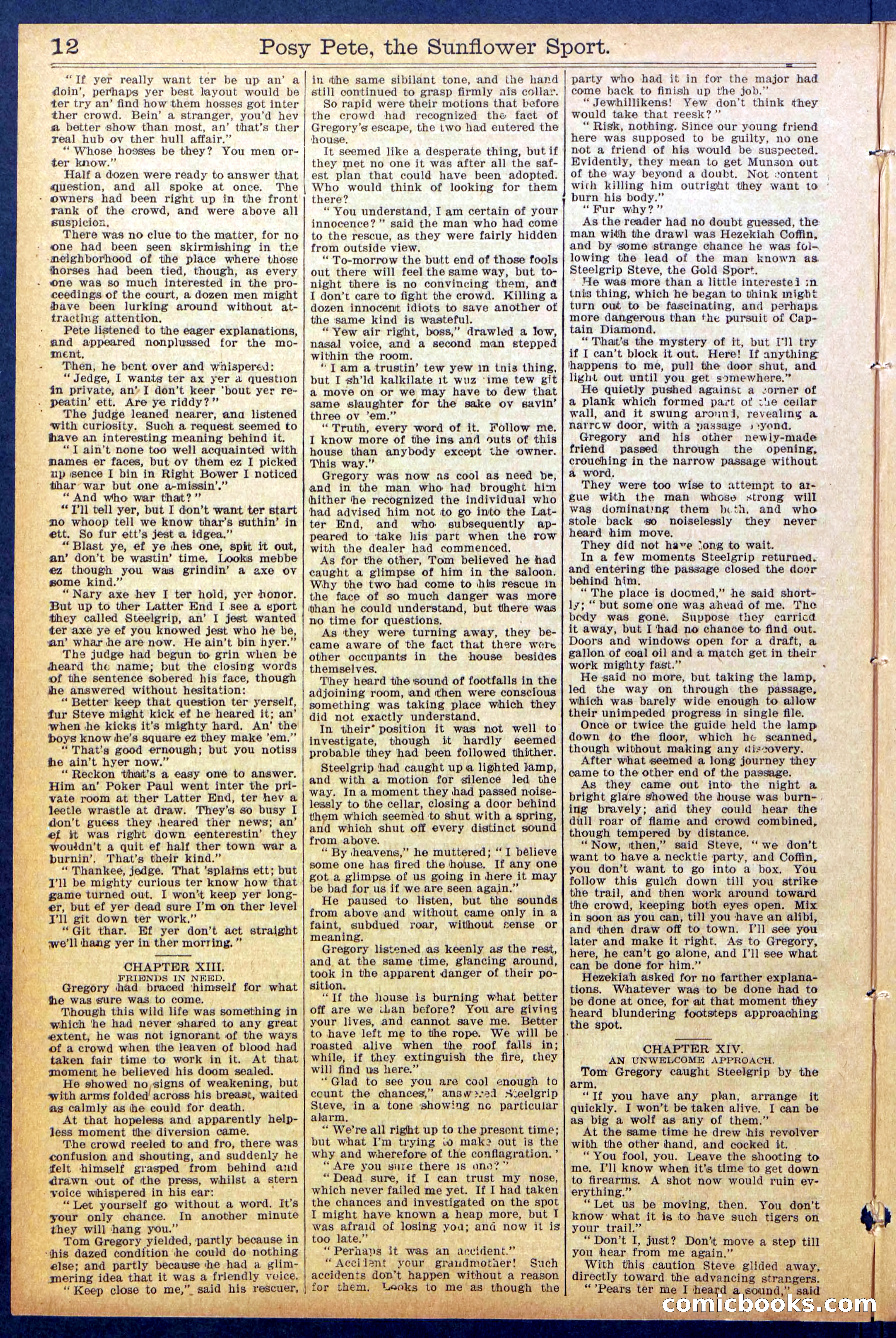 Beadle's New York Dime Library No. 938 — page 12 of 32