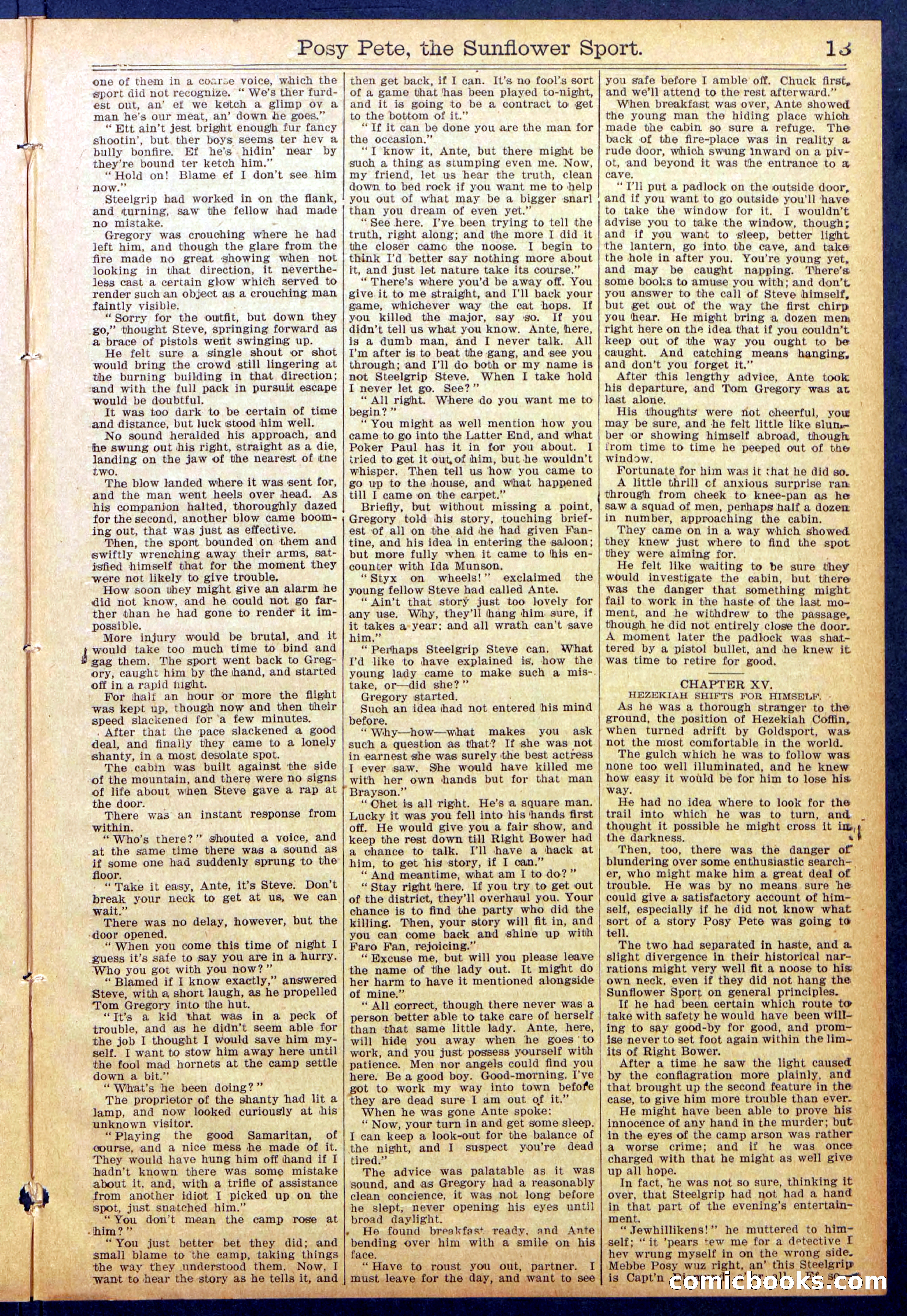 Beadle's New York Dime Library No. 938 — page 13 of 32