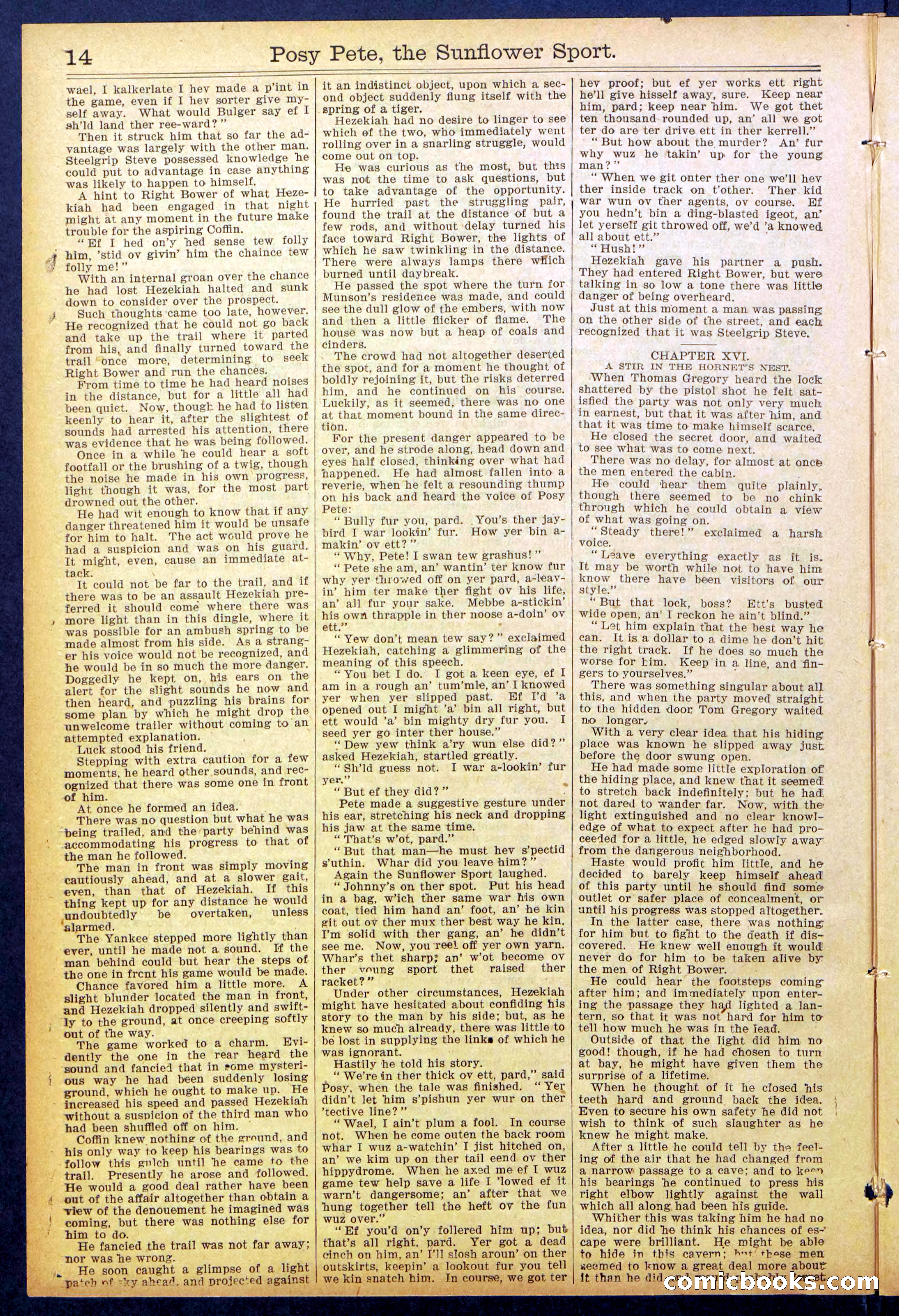 Beadle's New York Dime Library No. 938 — page 14 of 32