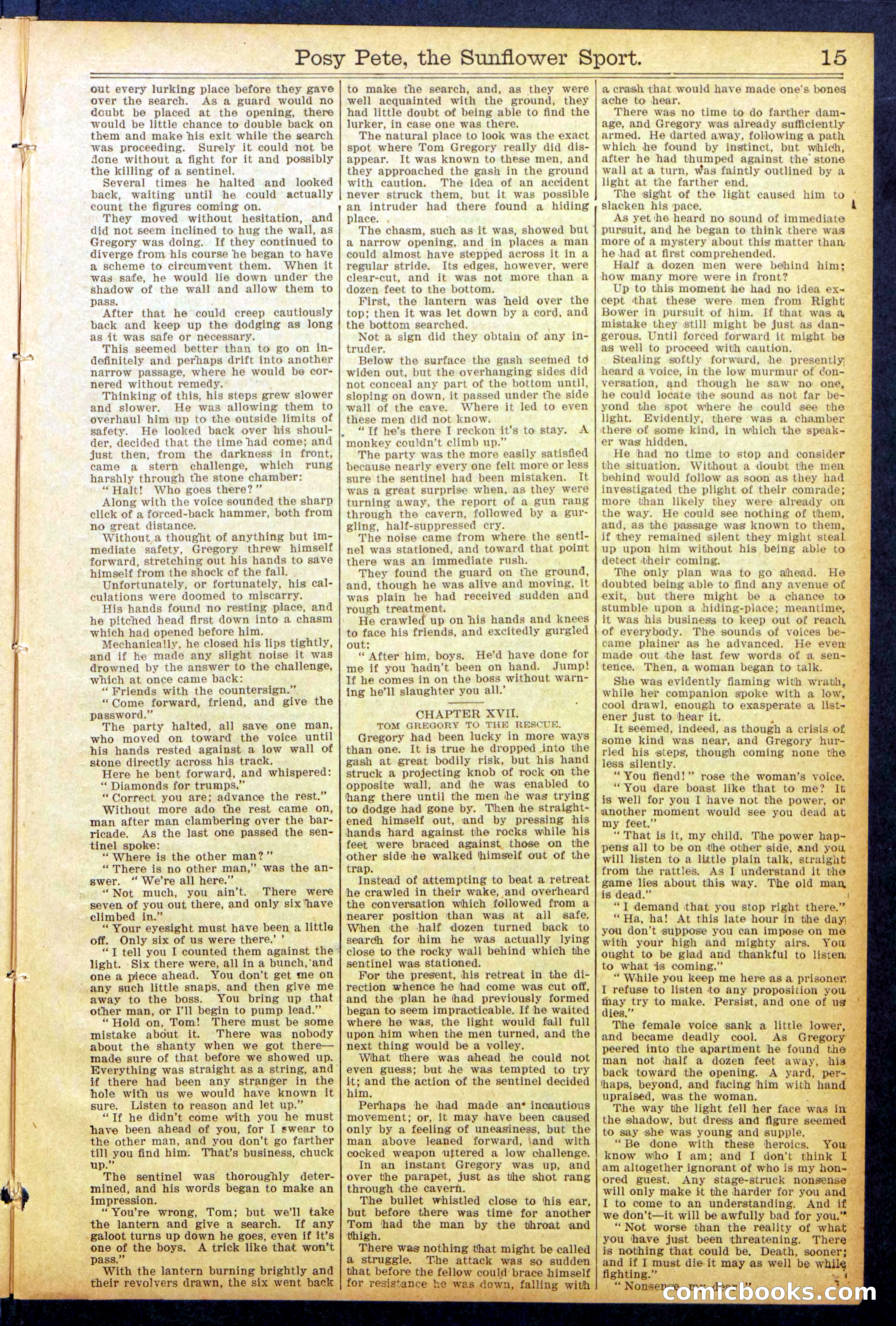 Beadle's New York Dime Library No. 938 — page 15 of 32