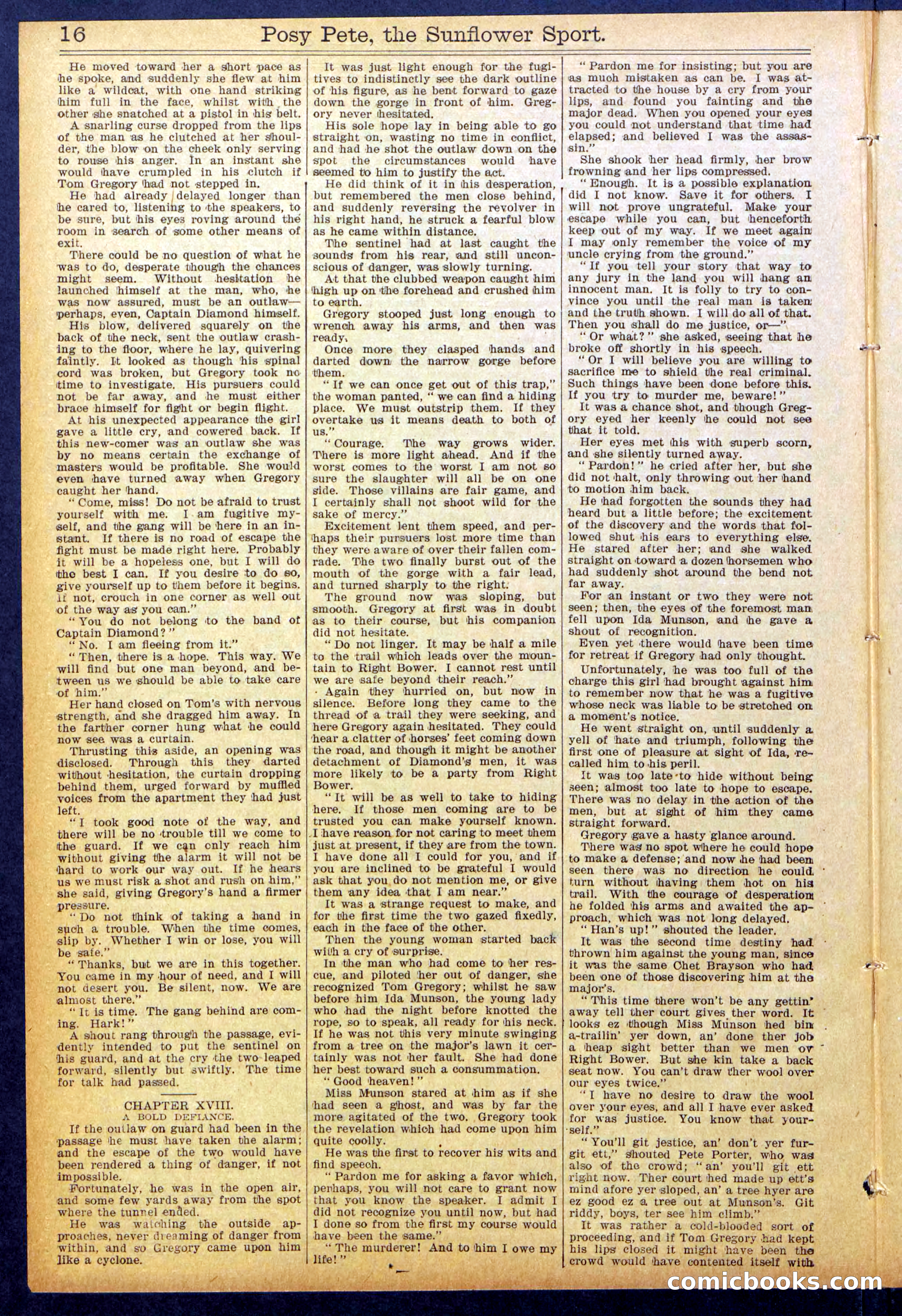 Beadle's New York Dime Library No. 938 — page 16 of 32