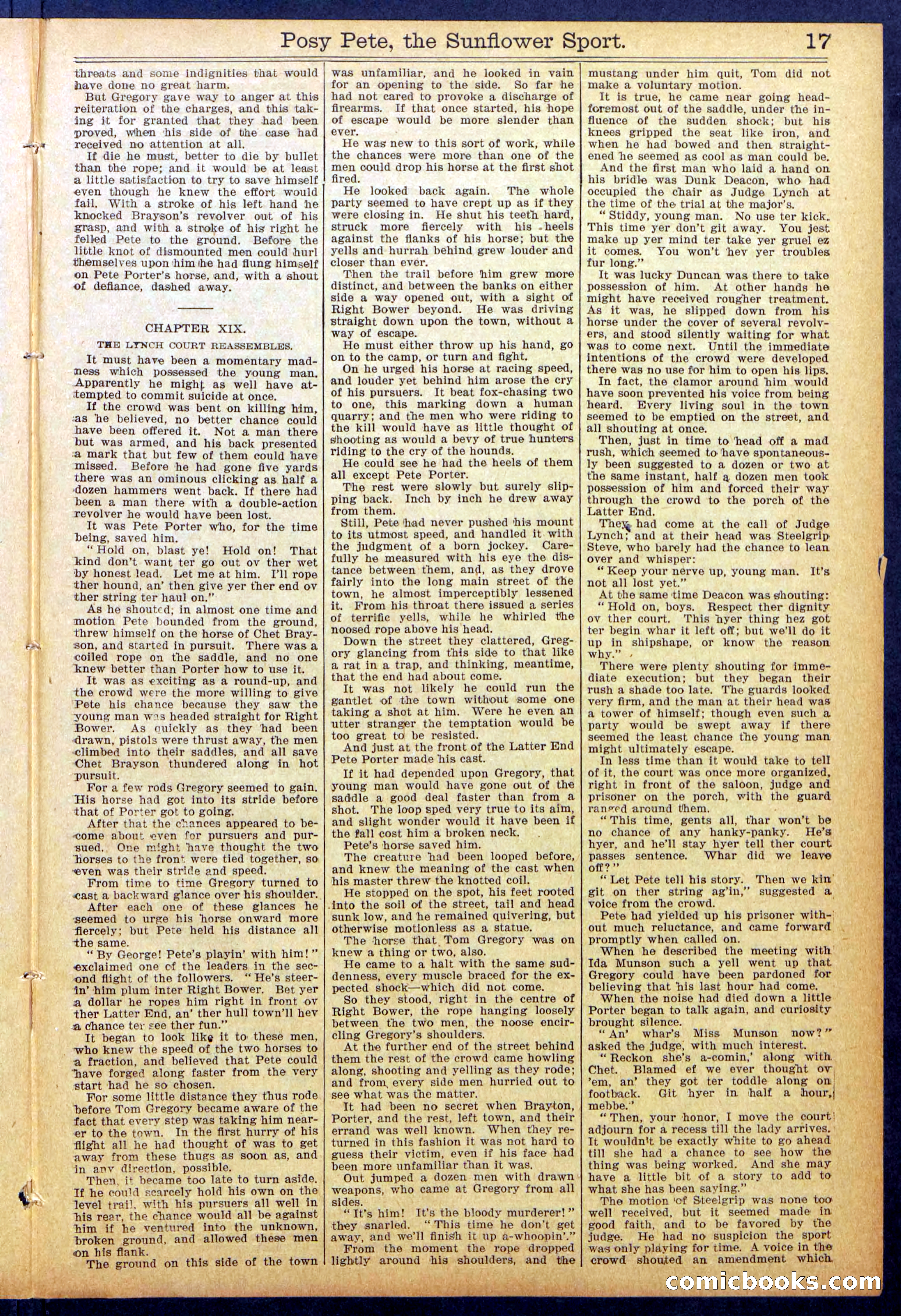 Beadle's New York Dime Library No. 938 — page 17 of 32