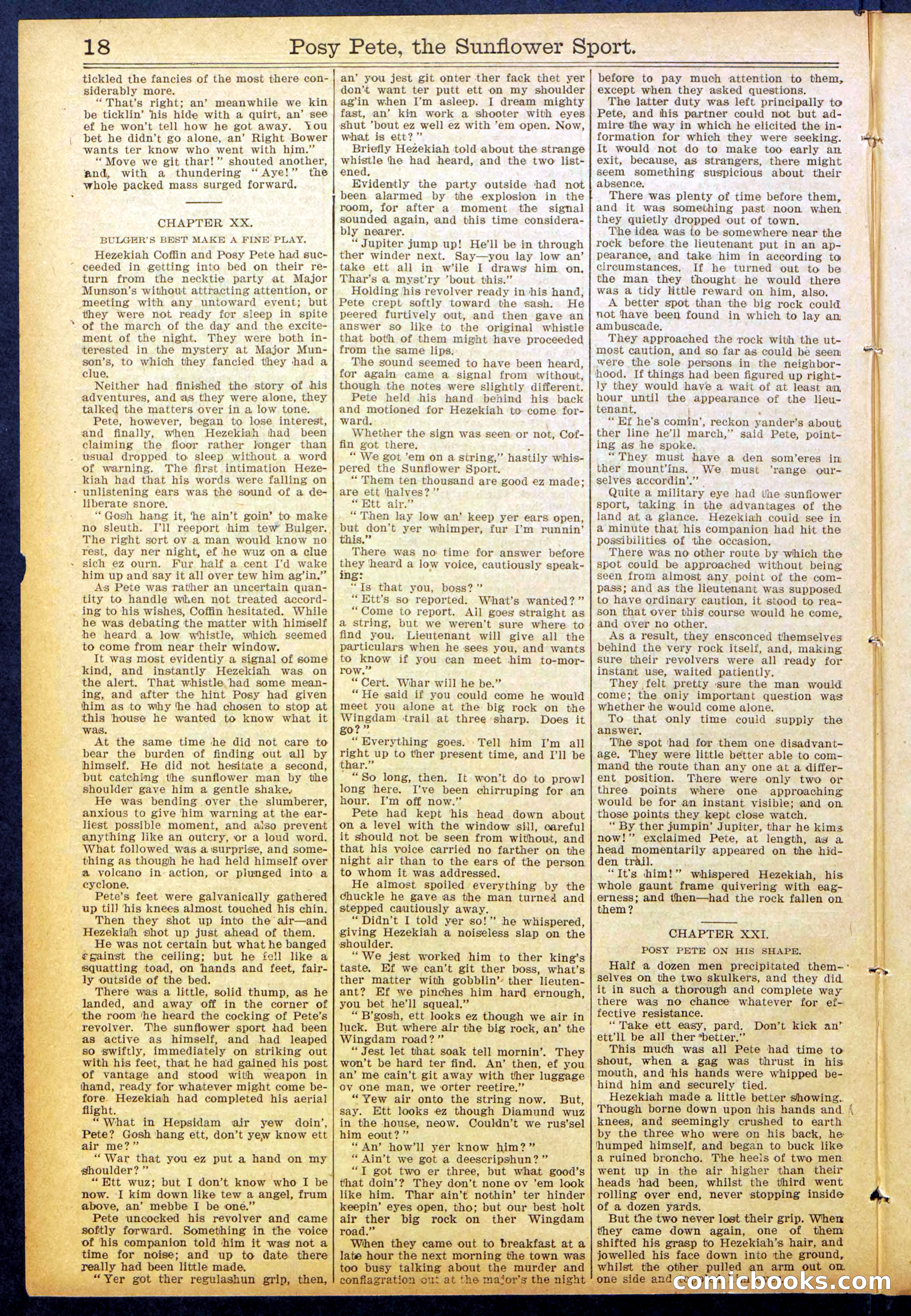 Beadle's New York Dime Library No. 938 — page 18 of 32