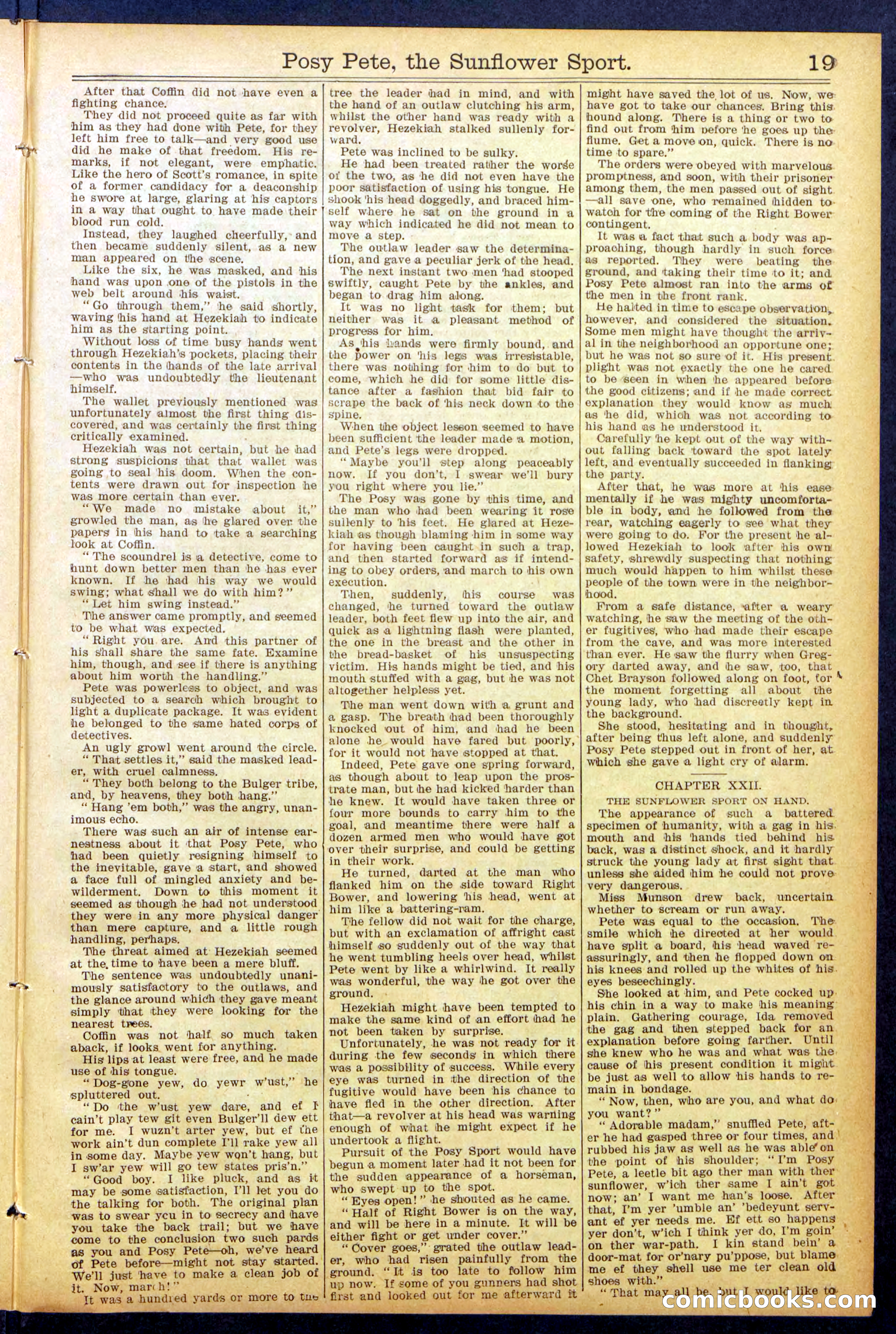 Beadle's New York Dime Library No. 938 — page 19 of 32