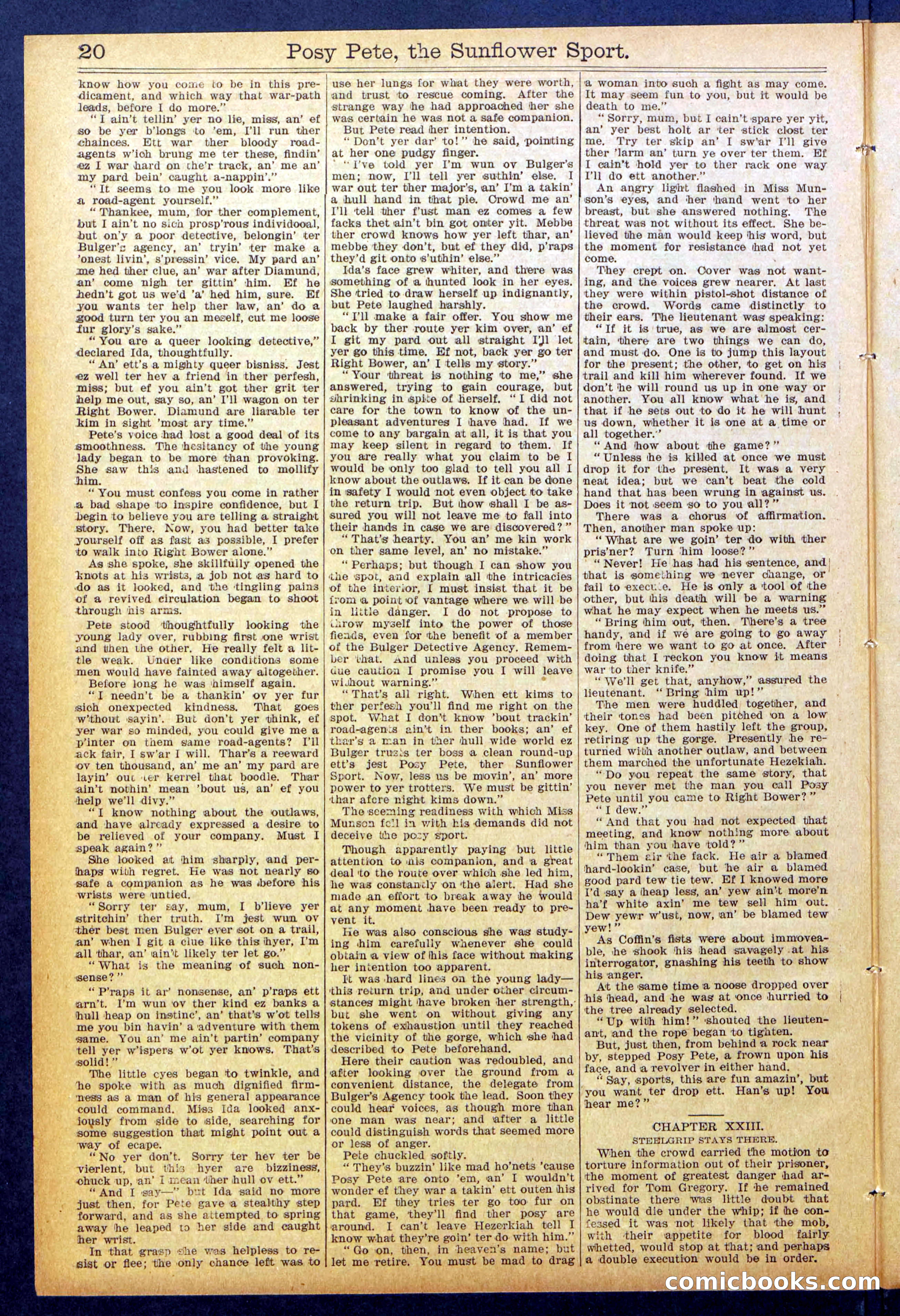 Beadle's New York Dime Library No. 938 — page 20 of 32