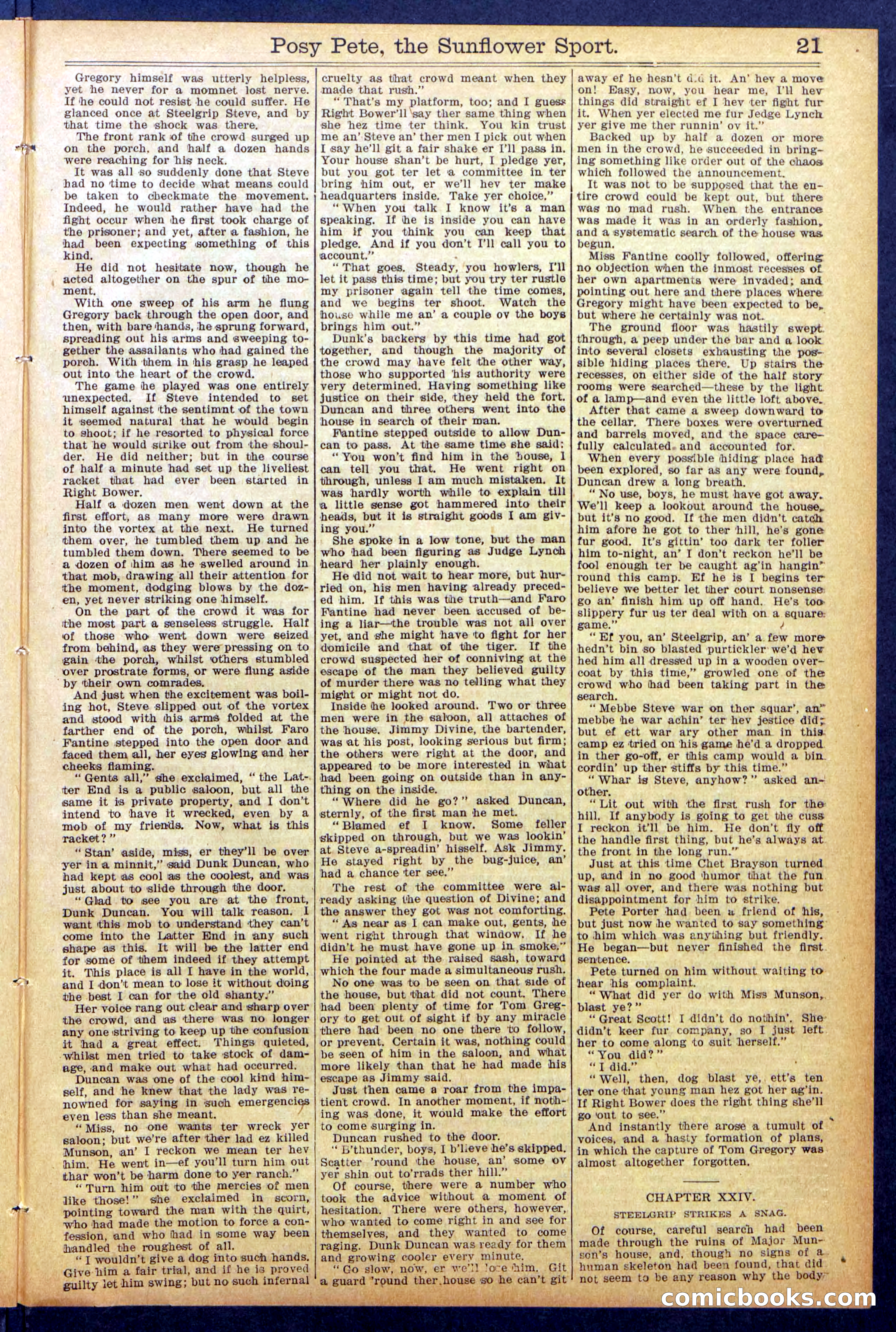 Beadle's New York Dime Library No. 938 — page 21 of 32