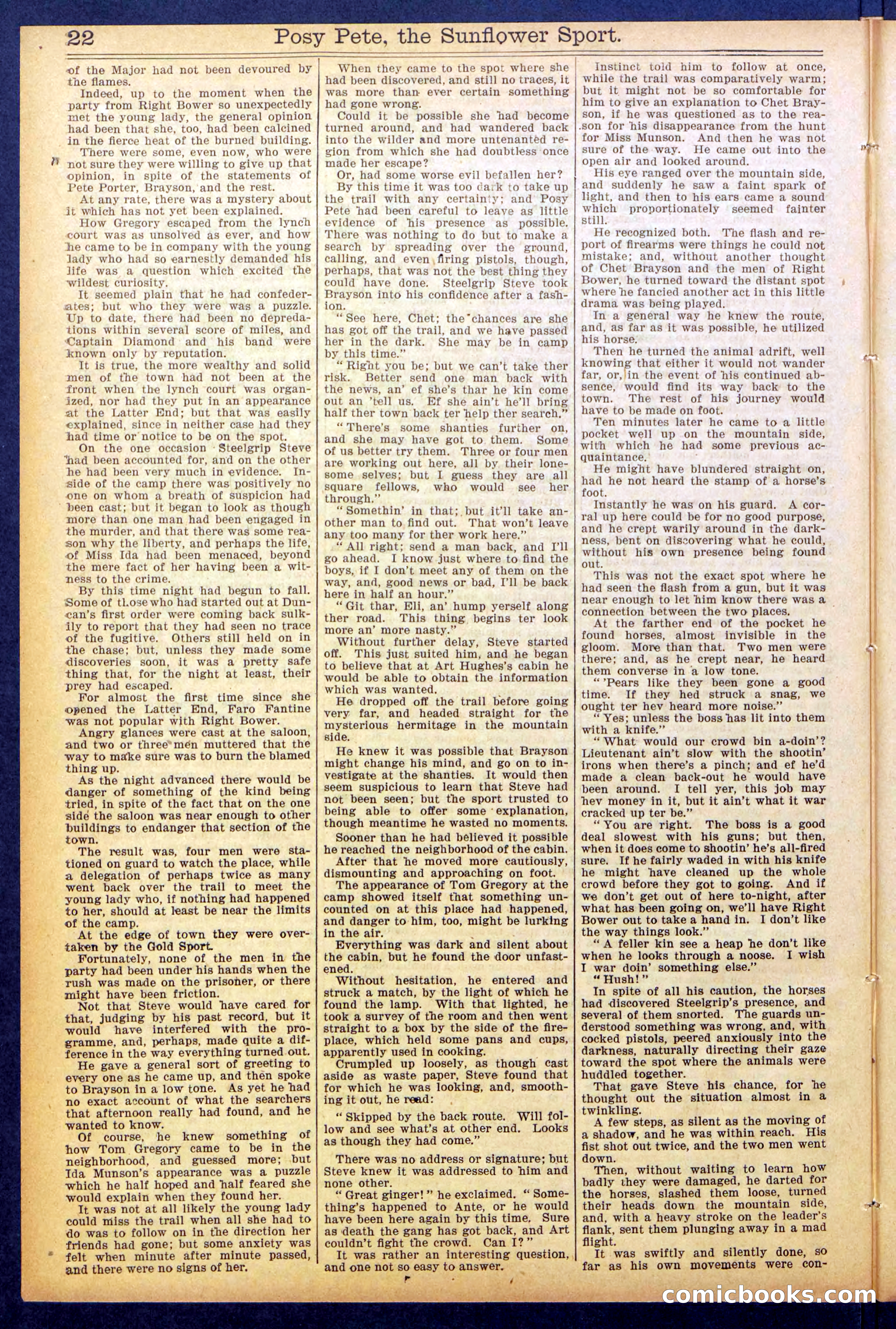 Beadle's New York Dime Library No. 938 — page 22 of 32