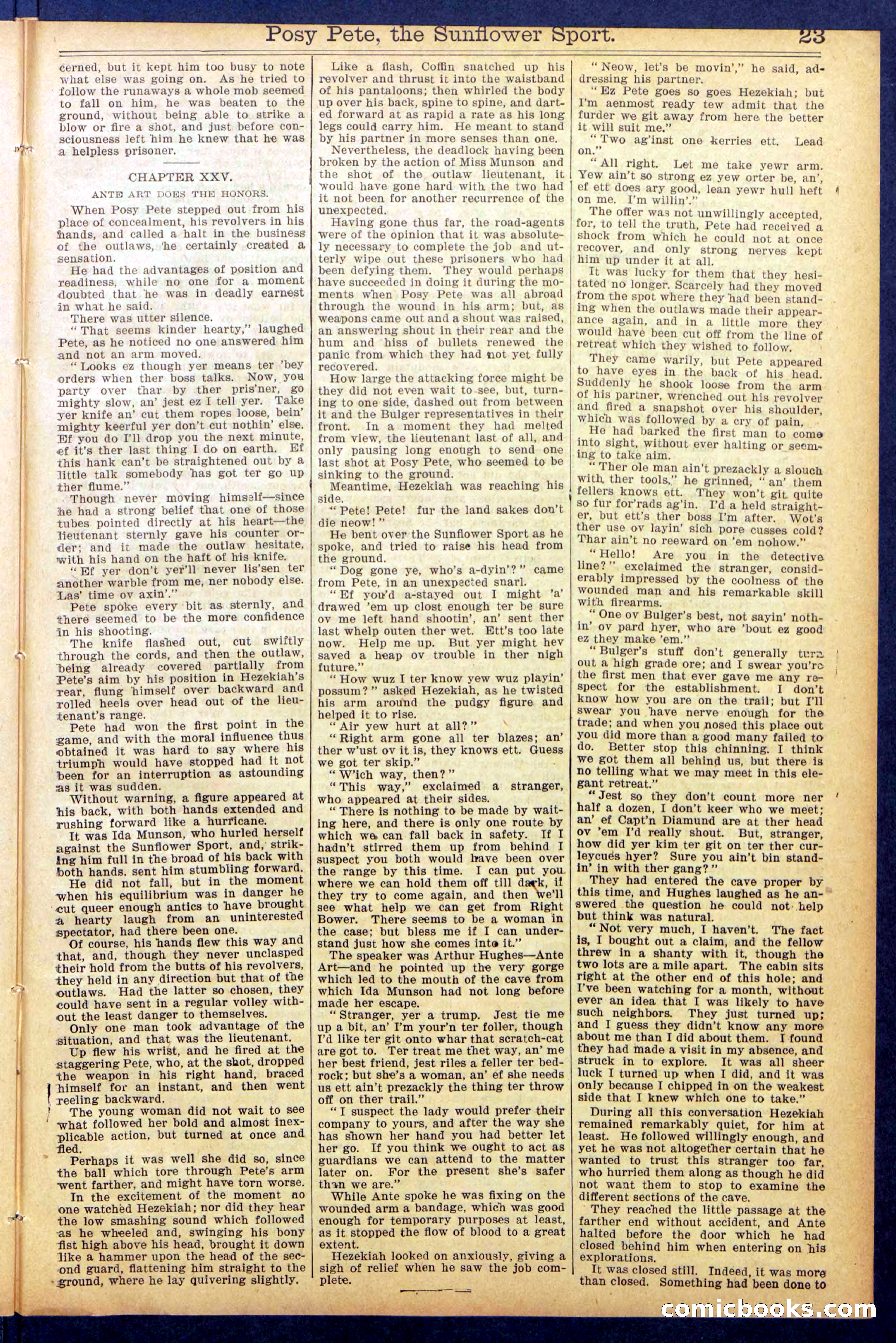 Beadle's New York Dime Library No. 938 — page 23 of 32