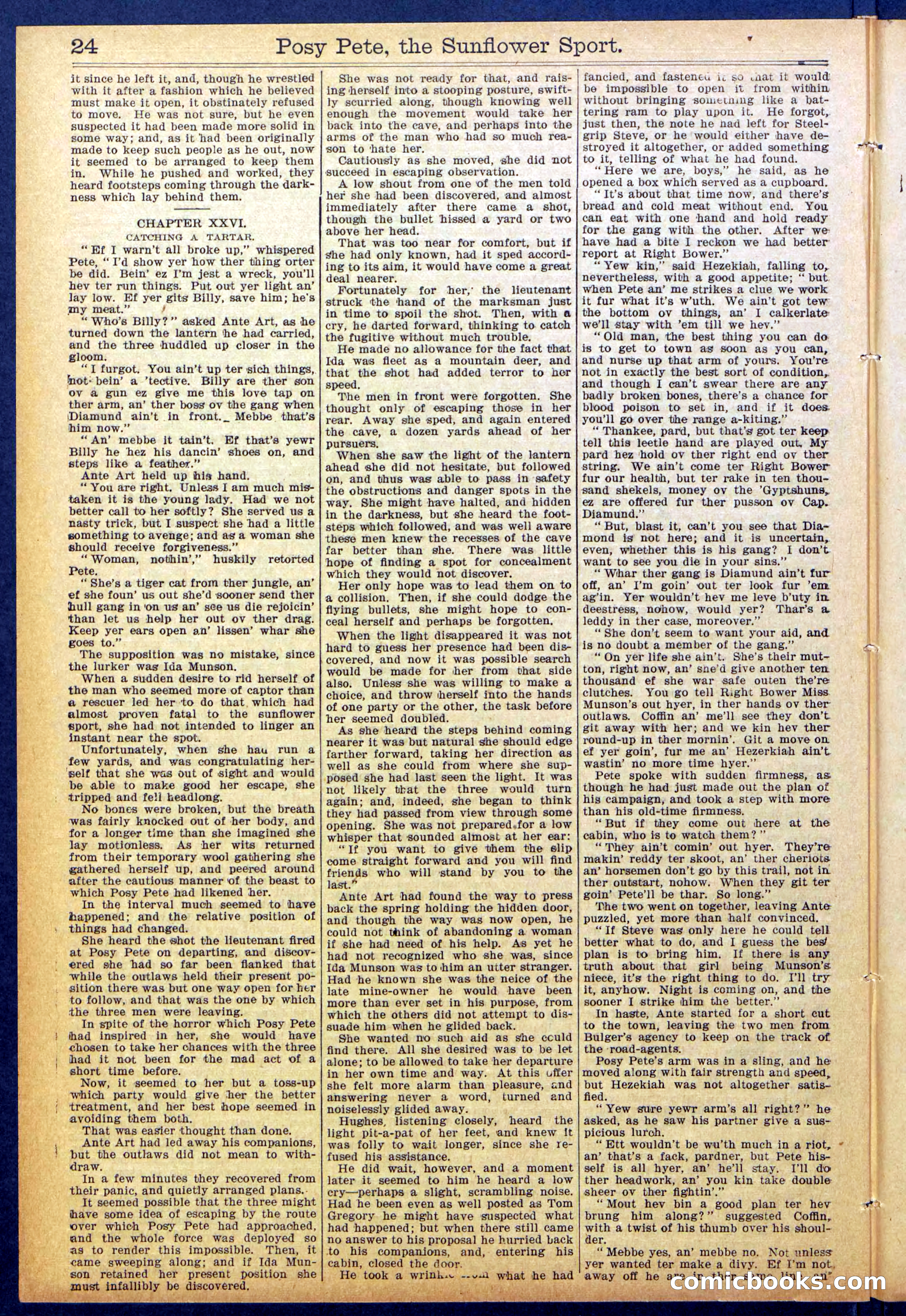 Beadle's New York Dime Library No. 938 — page 24 of 32