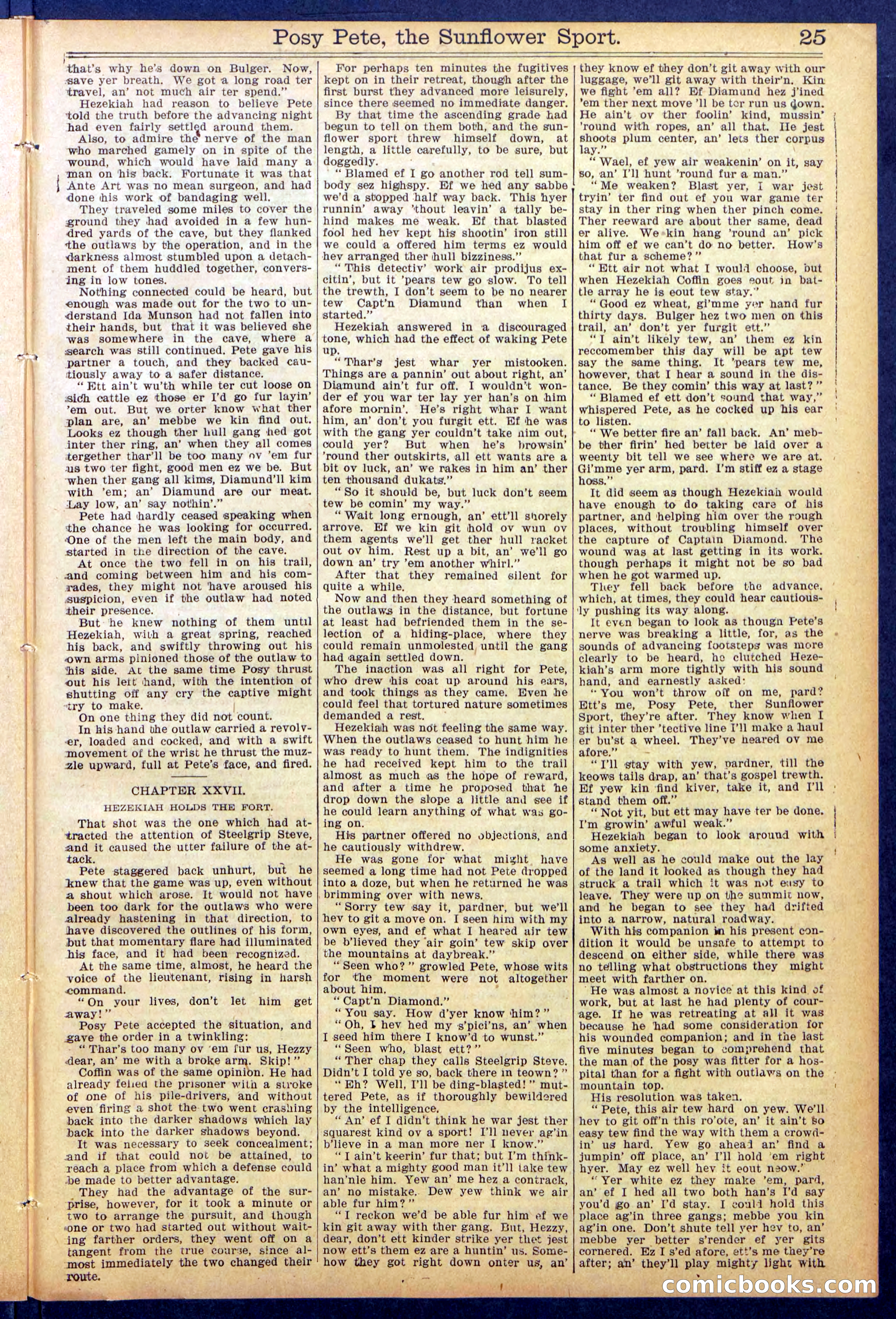 Beadle's New York Dime Library No. 938 — page 25 of 32