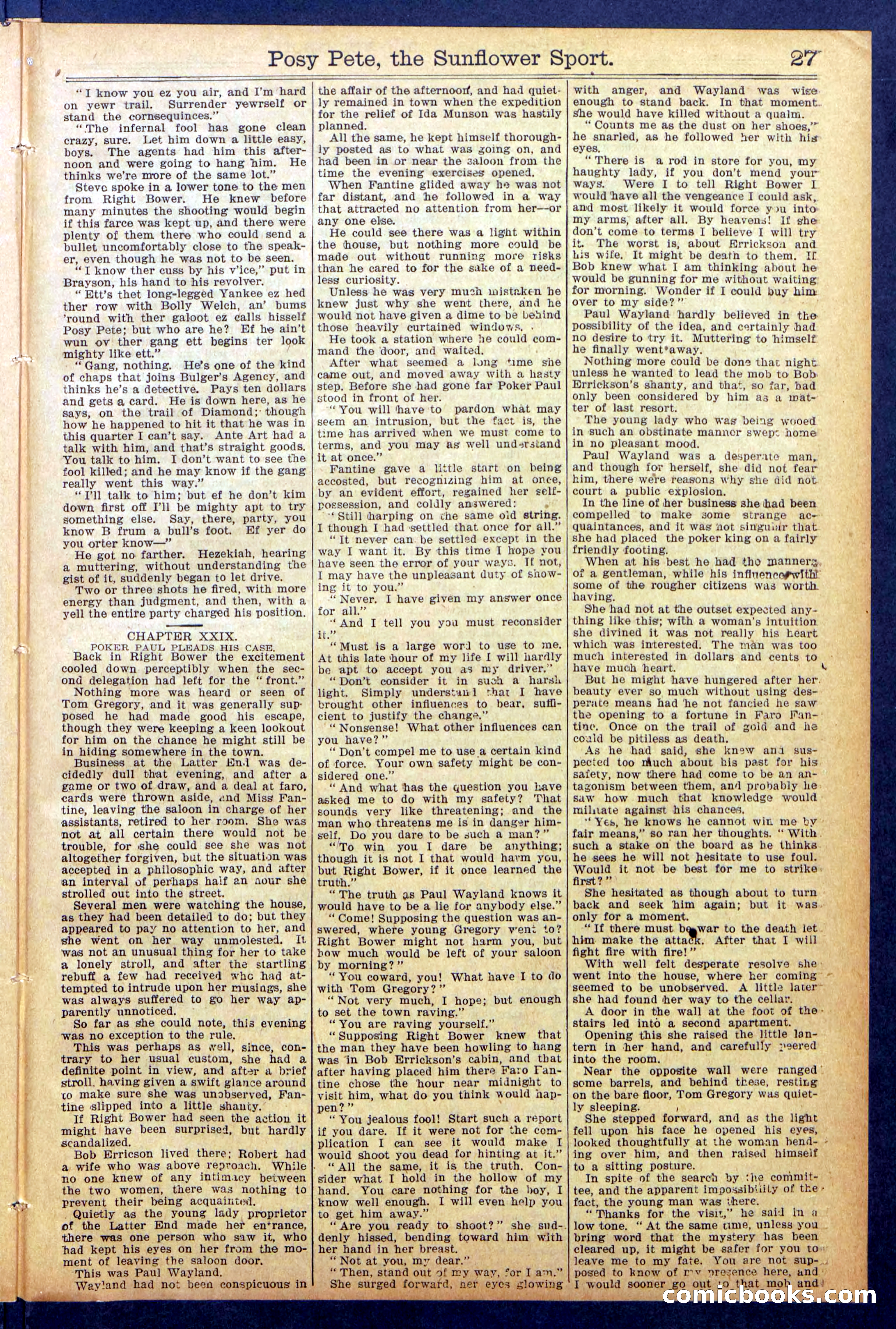 Beadle's New York Dime Library No. 938 — page 27 of 32