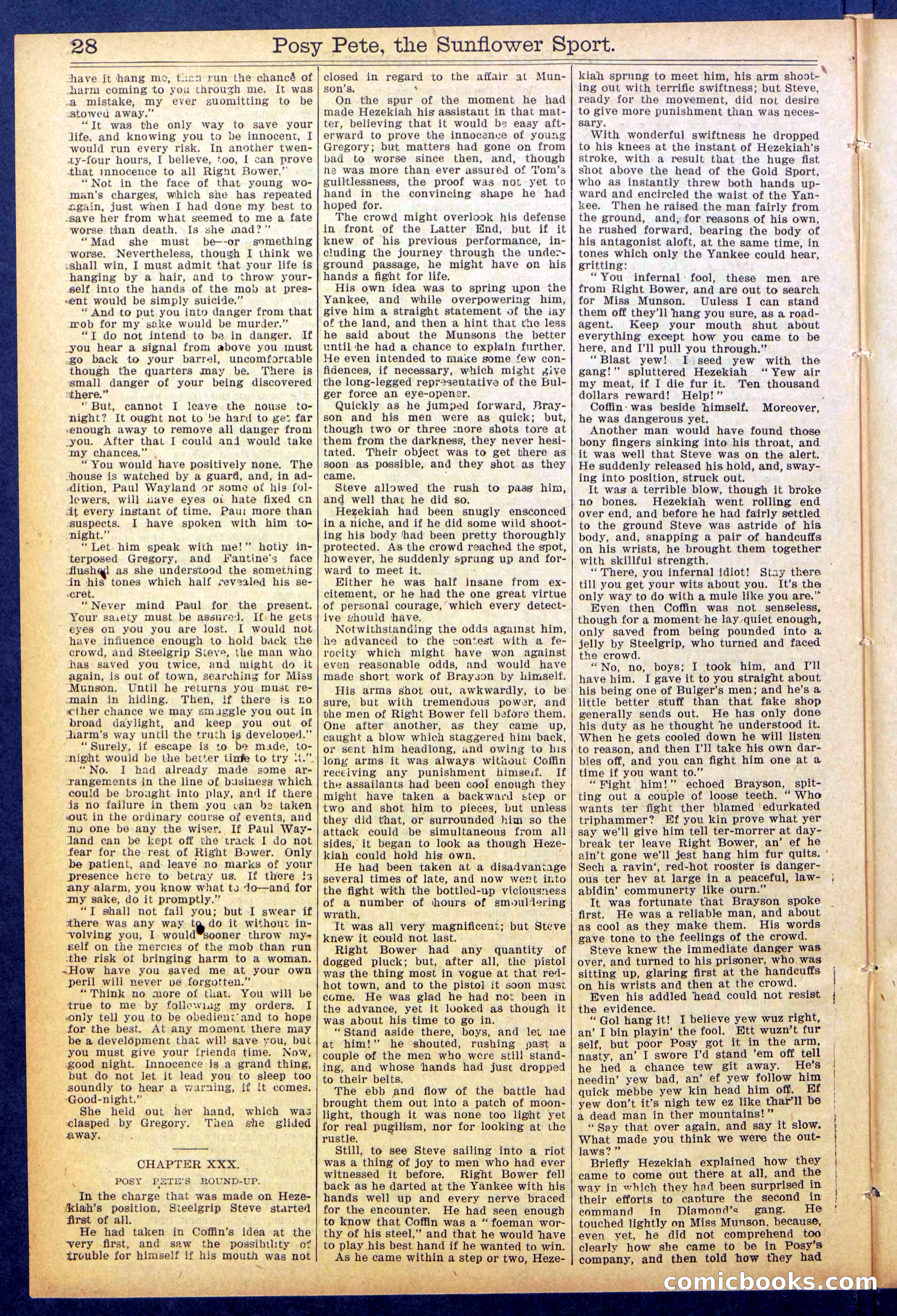 Beadle's New York Dime Library No. 938 — page 28 of 32