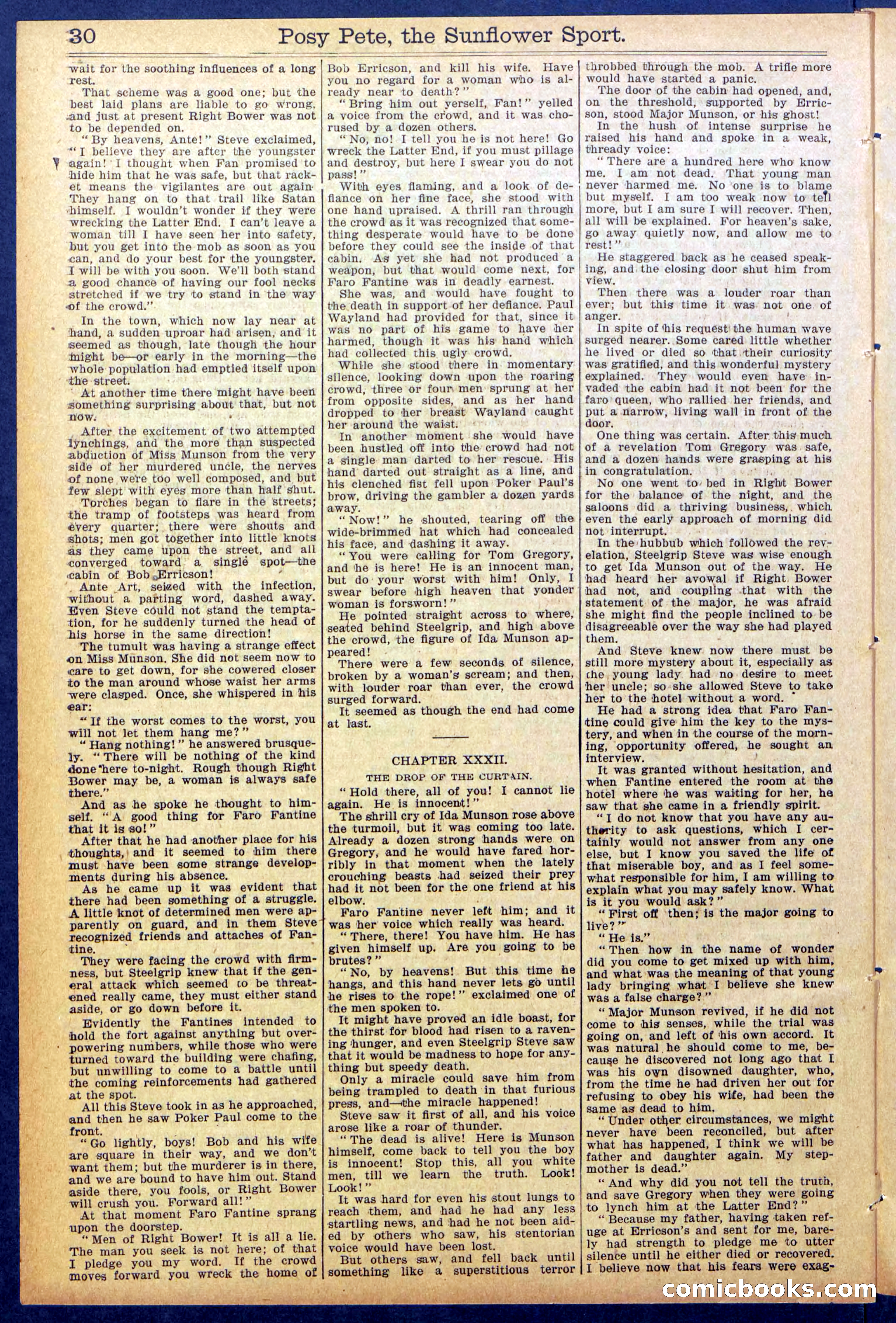 Beadle's New York Dime Library No. 938 — page 30 of 32
