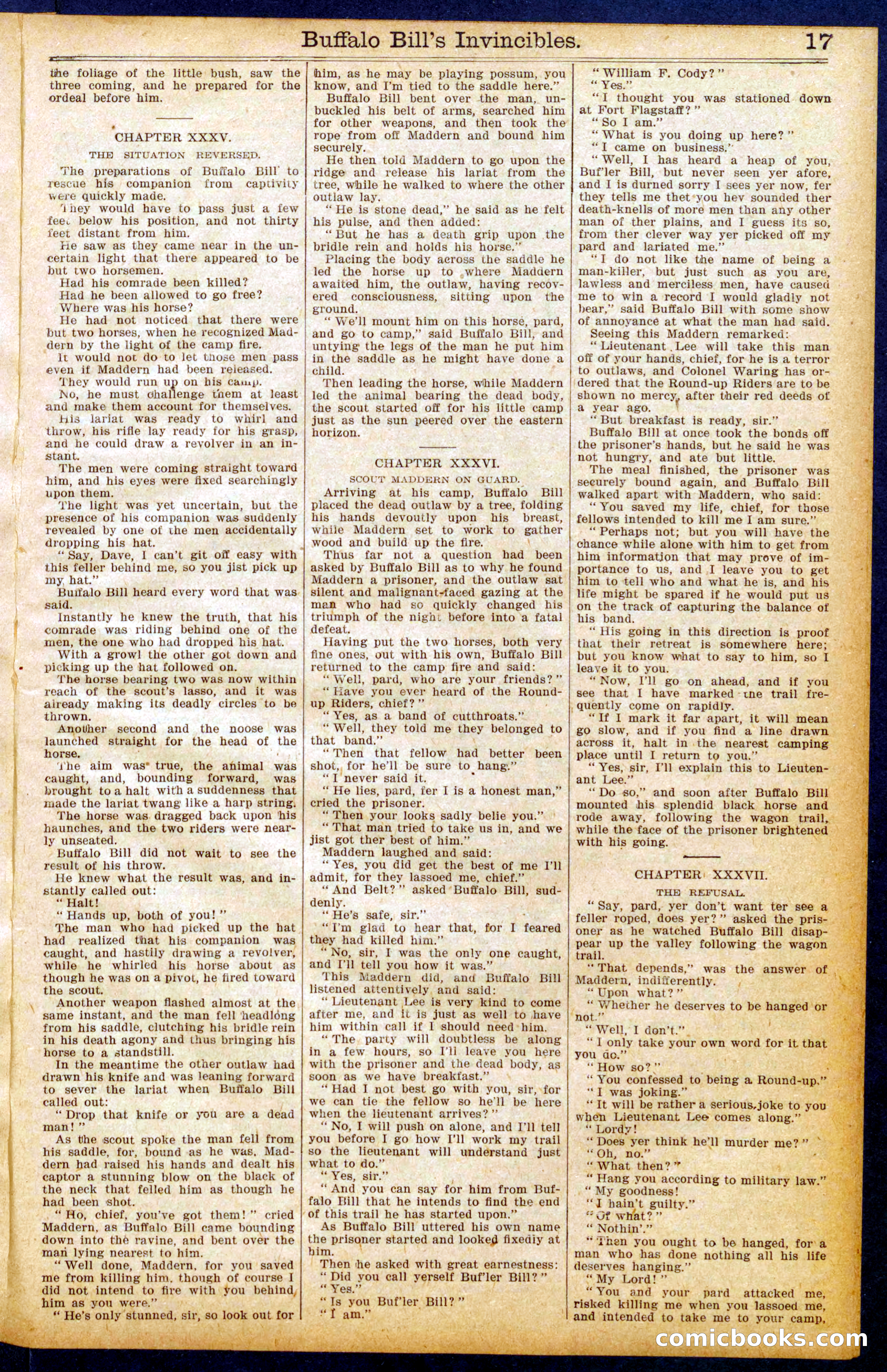 Beadle's New York Dime Library, No. 964 — page 17 of 32